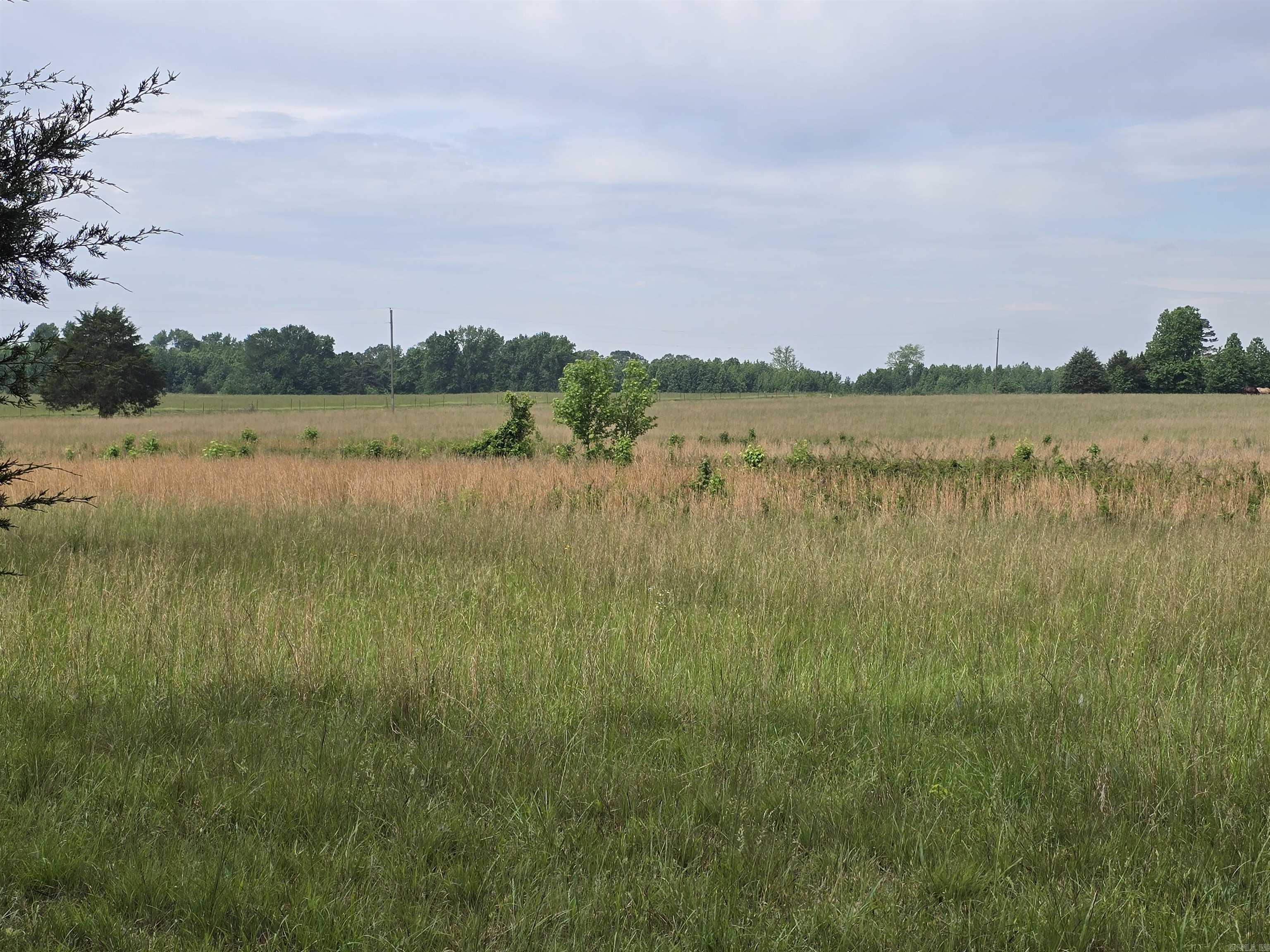 1425 Lone Star Road Property Photo 12