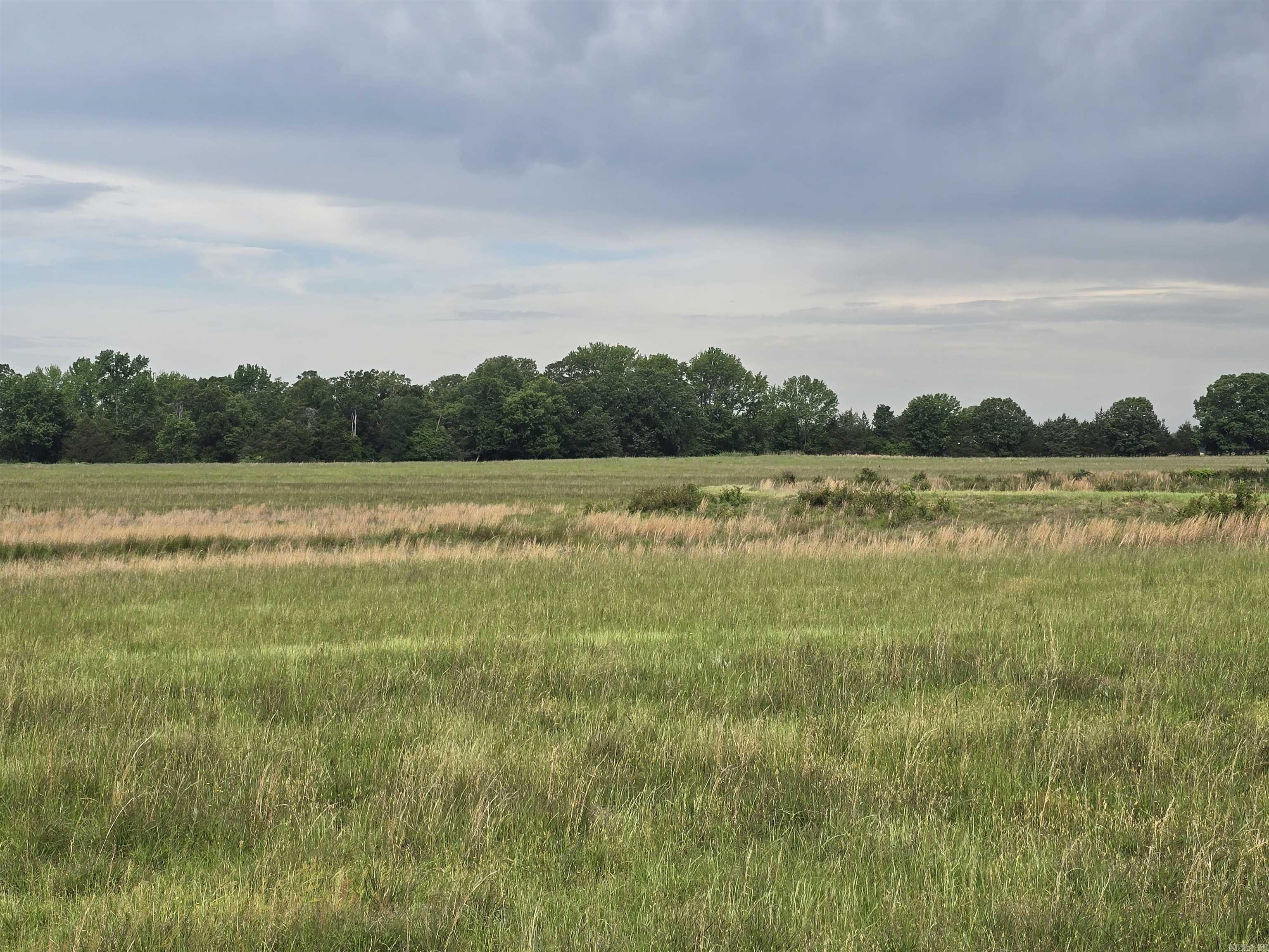 1425 Lone Star Road Property Photo 14