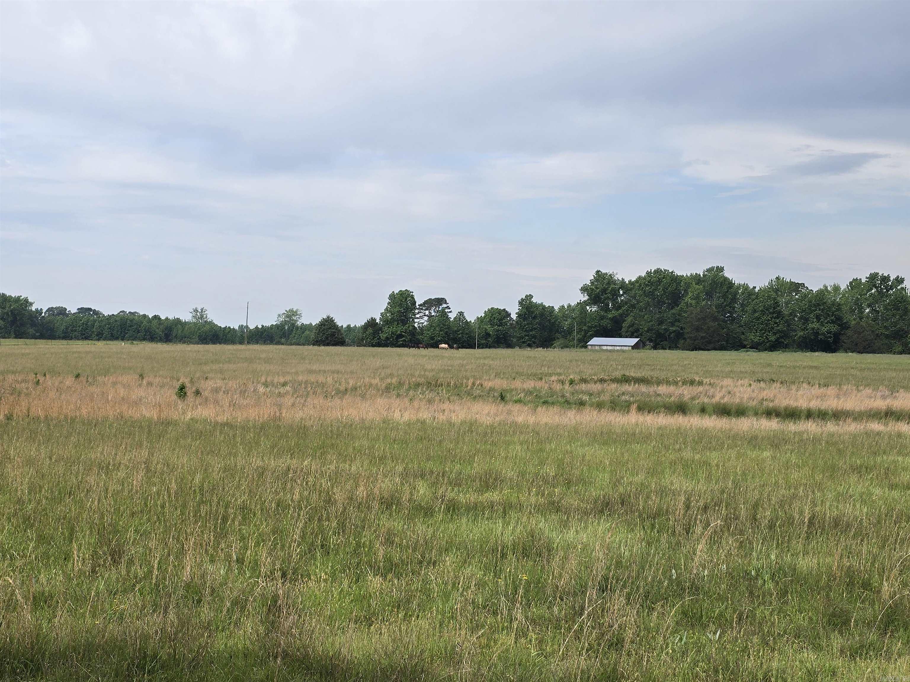 1425 Lone Star Road Property Photo 15