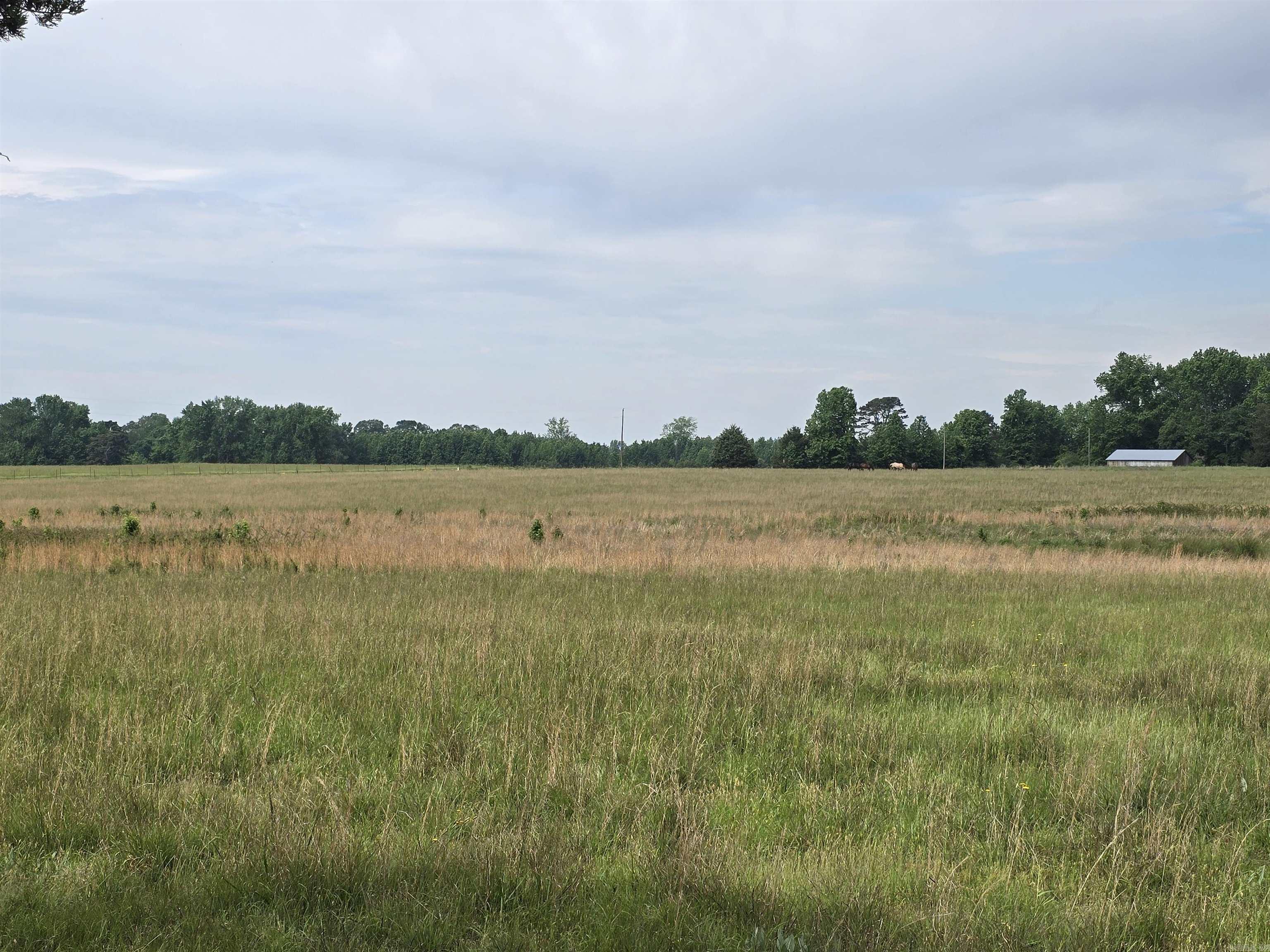 1425 Lone Star Road Property Photo 16