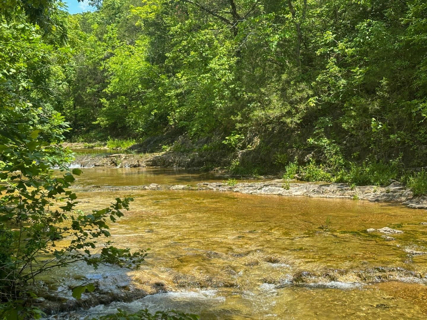 2275 Highway 63 Property Photo 2