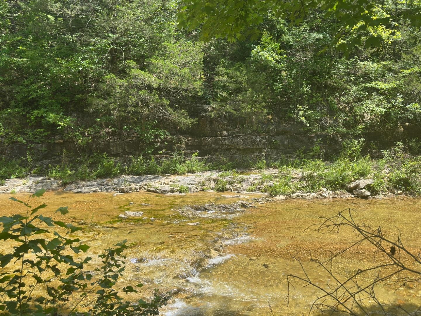 2275 Highway 63 Property Photo 14