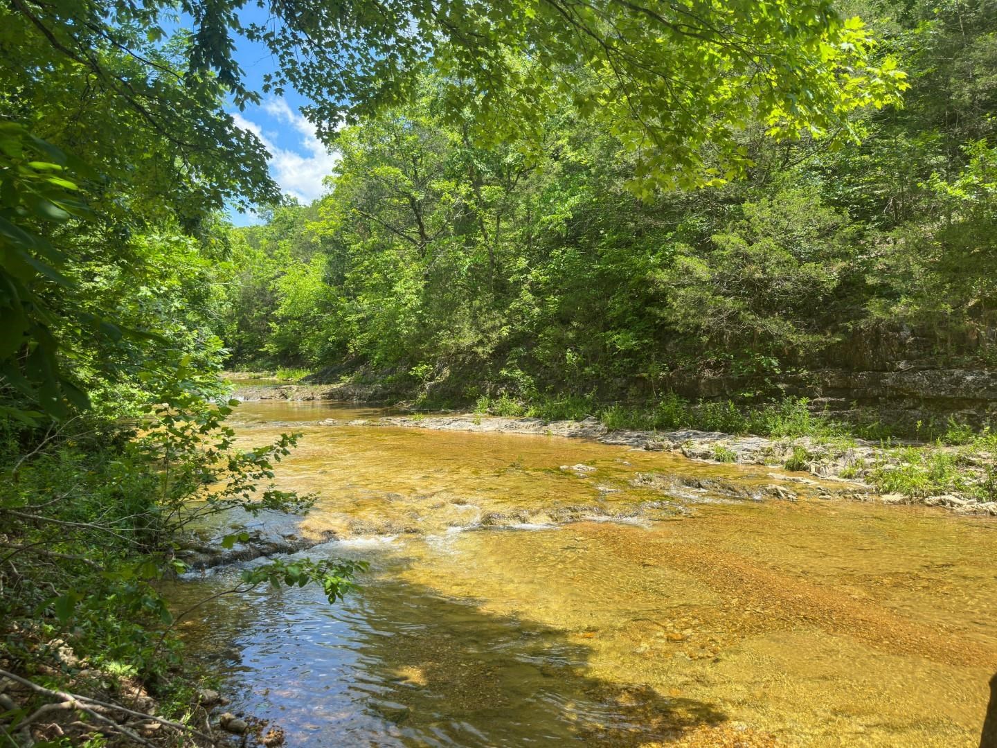 2275 Highway 63 Property Photo 30