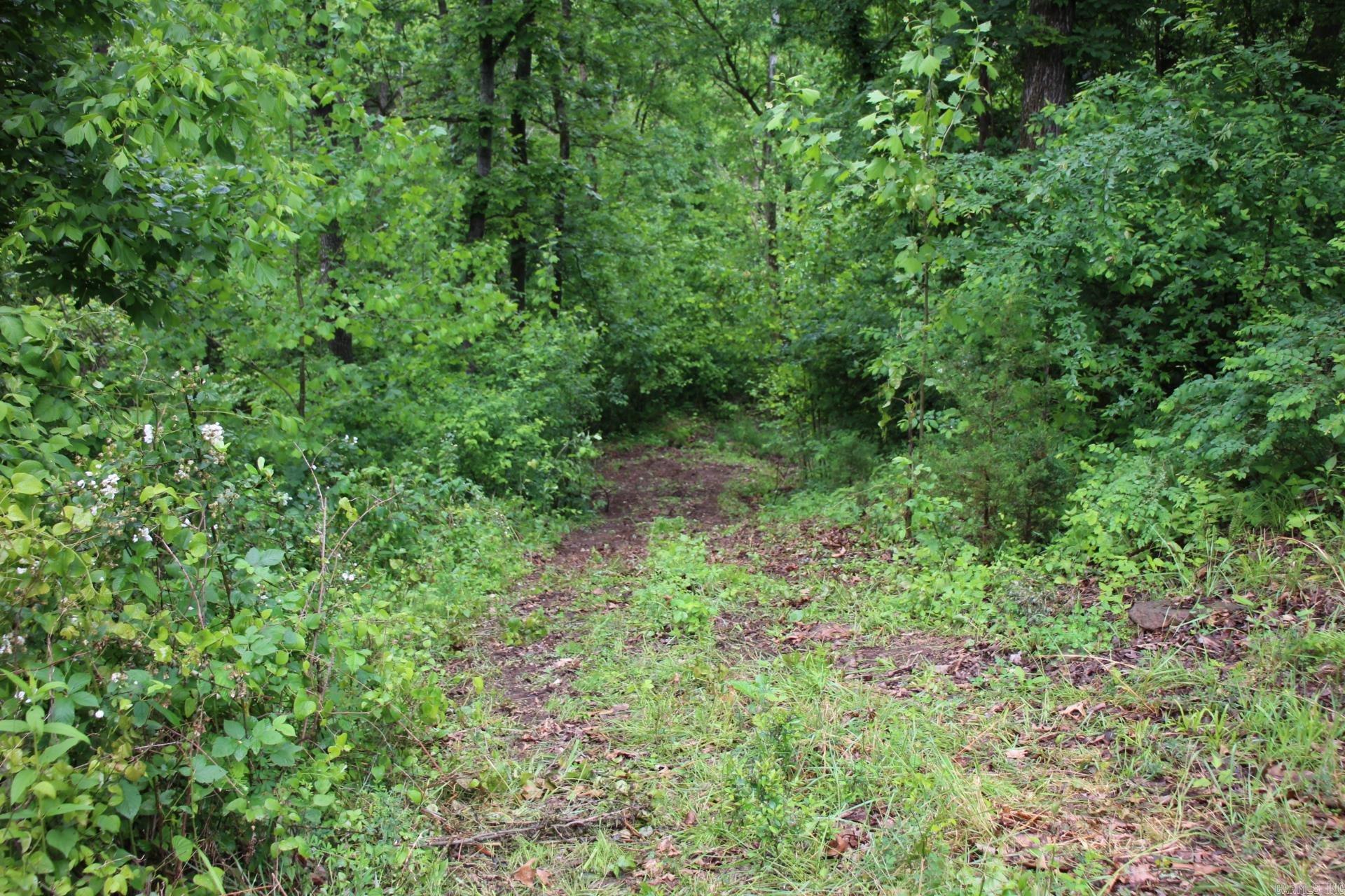 3811 Mc 6014 Property Photo 42