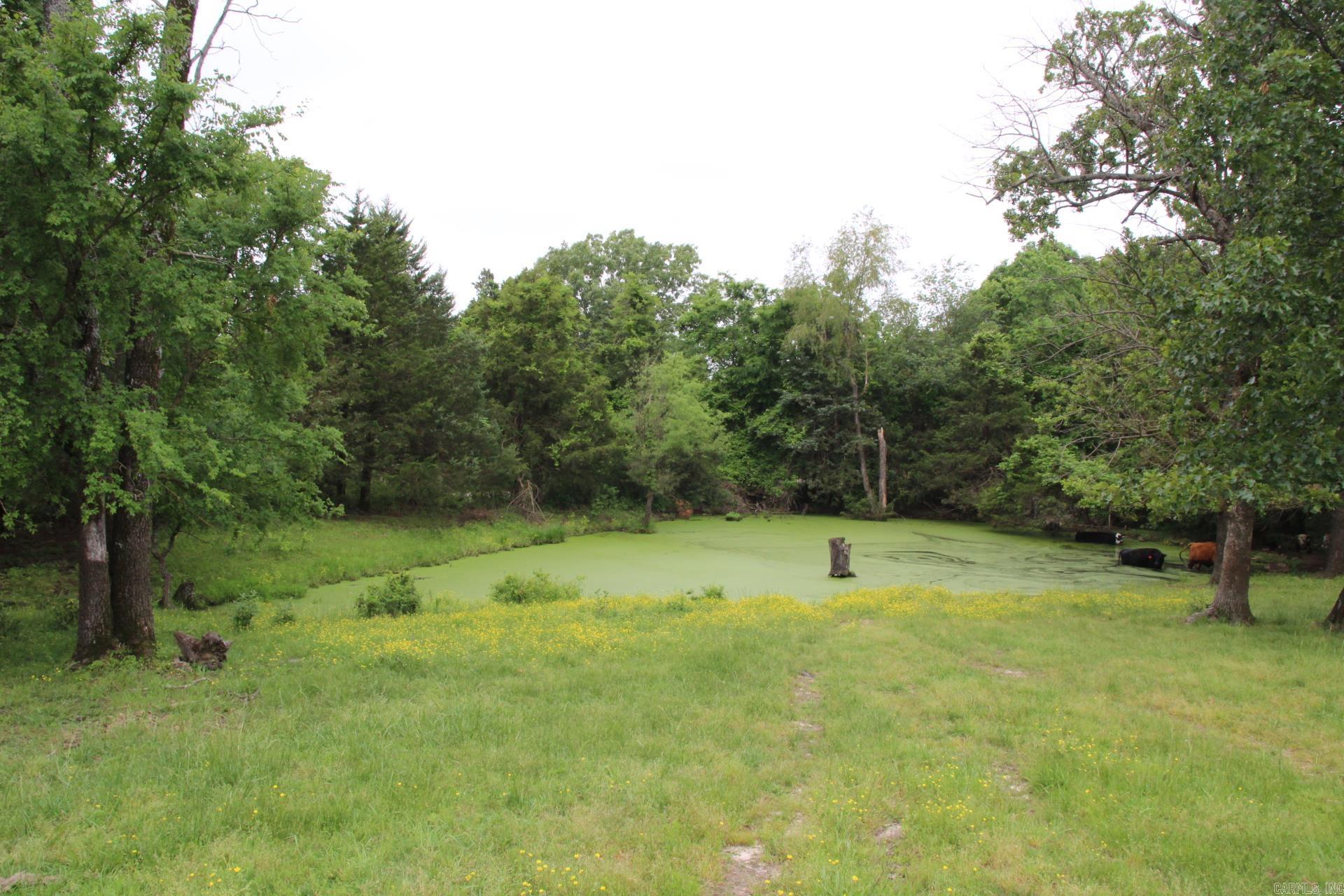 3811 Mc 6014 Property Photo 50