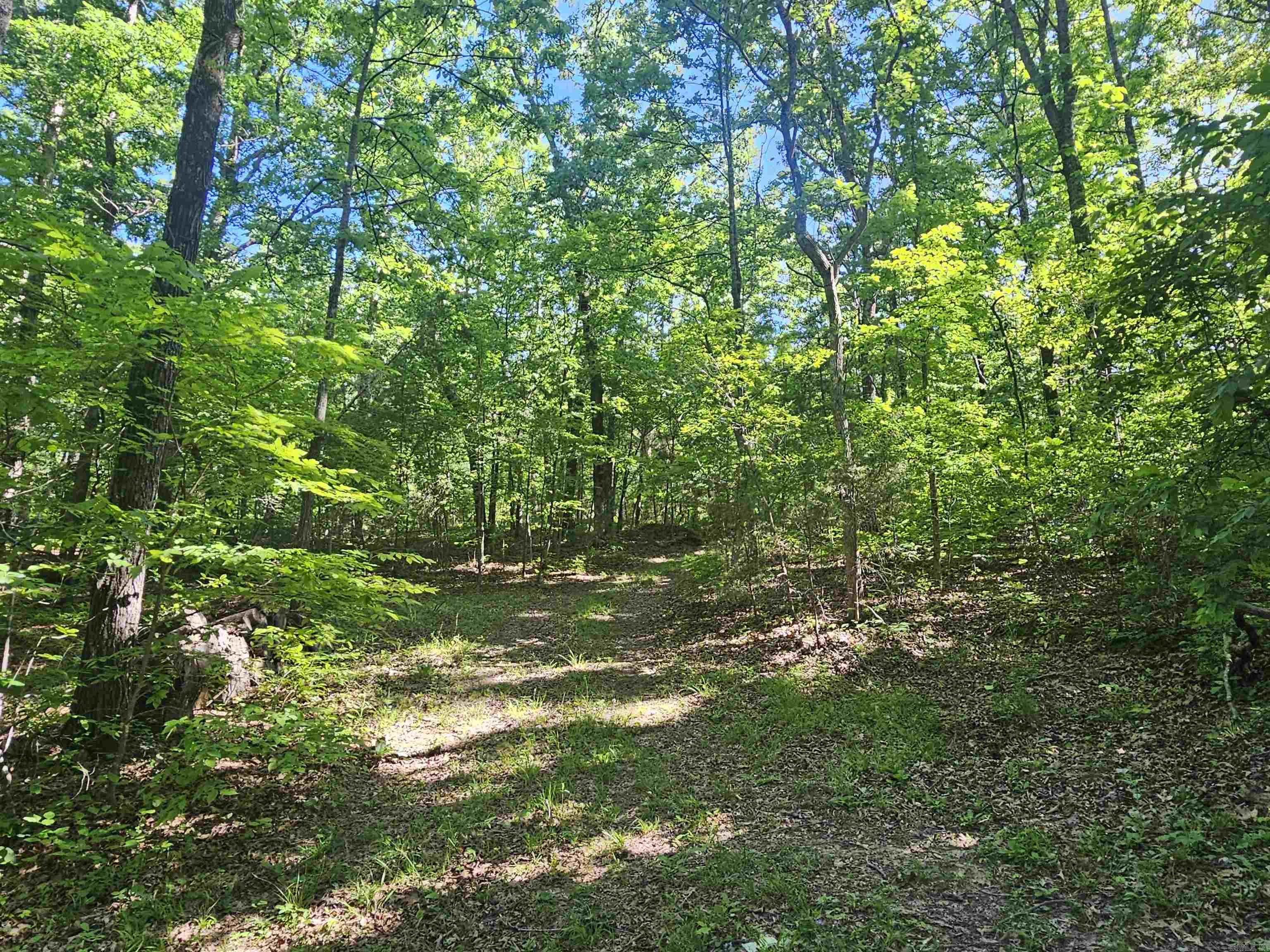 3986 Oak Grove Loop Property Photo 42