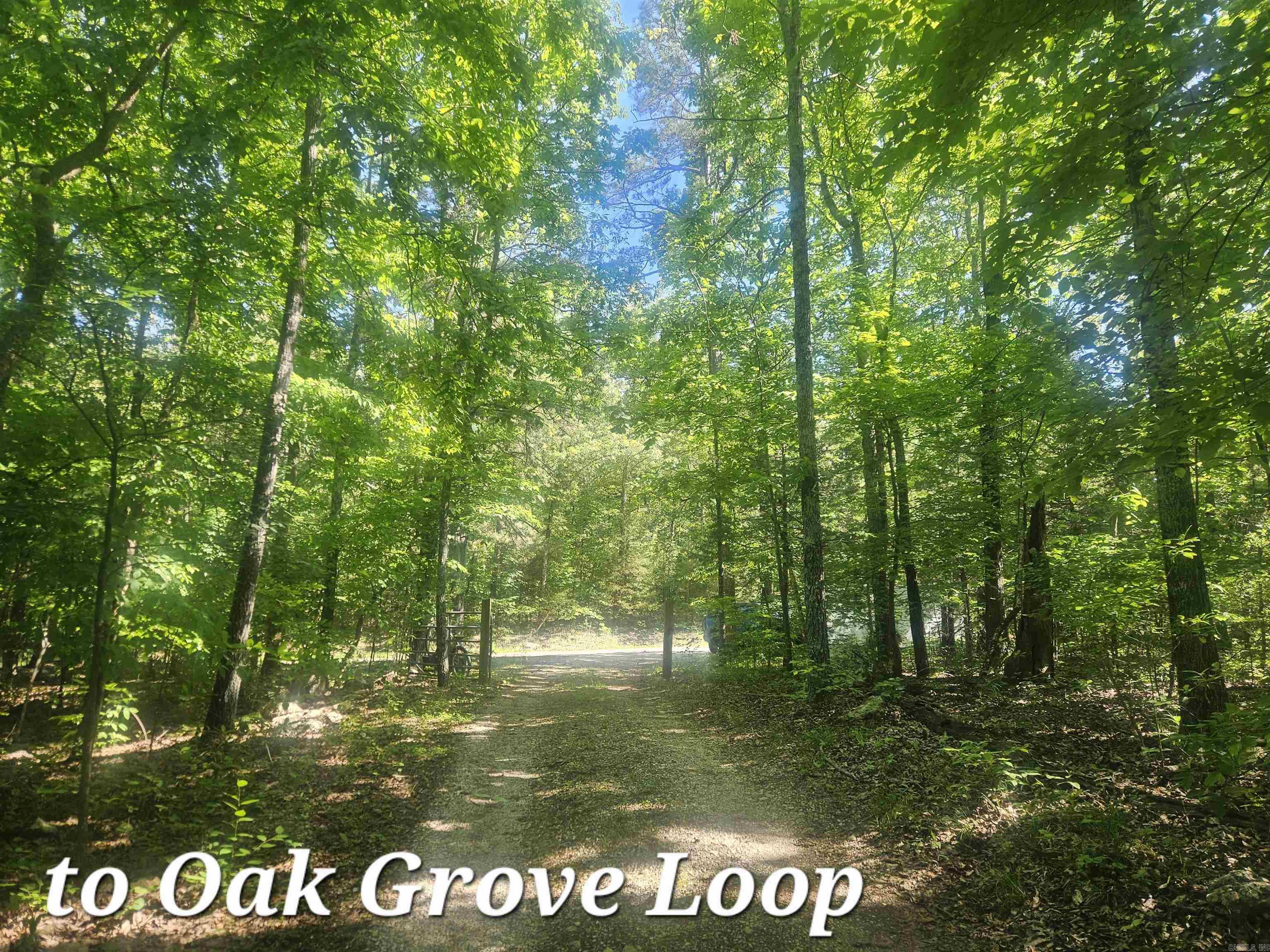3986 Oak Grove Loop Property Photo 45