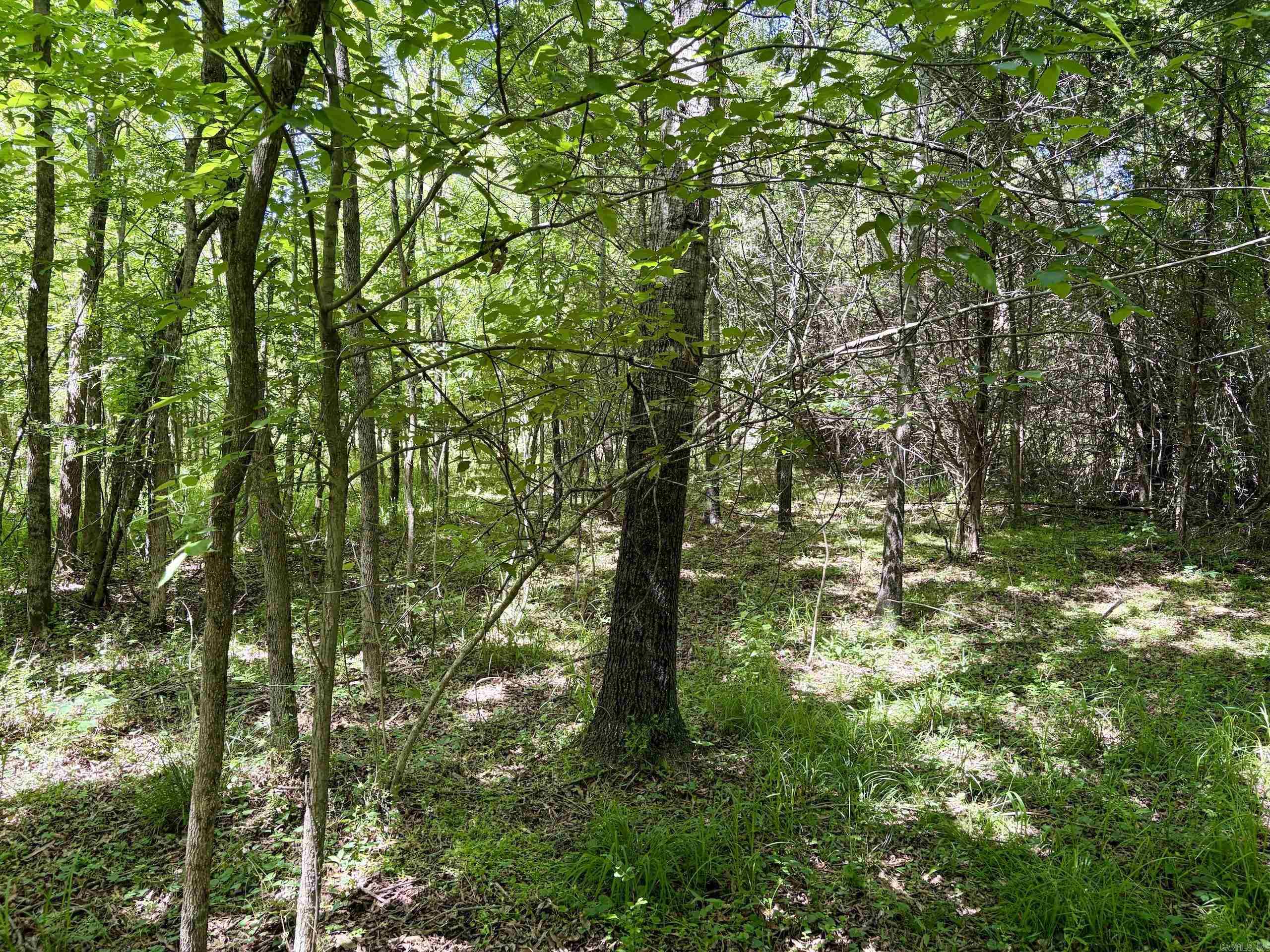 000 Burkett Flat Road Property Photo 21