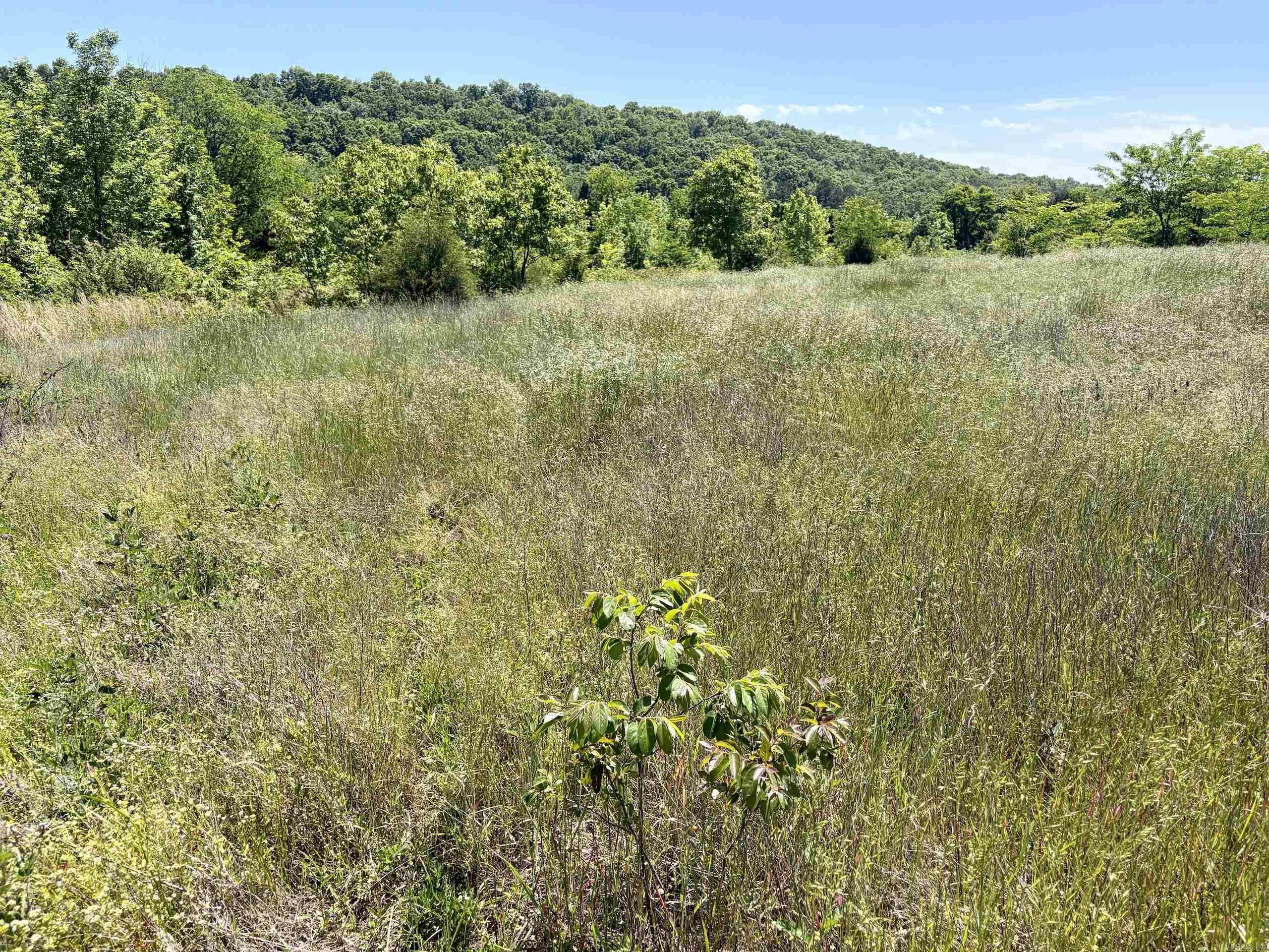 000 Burkett Flat Road Property Photo 25