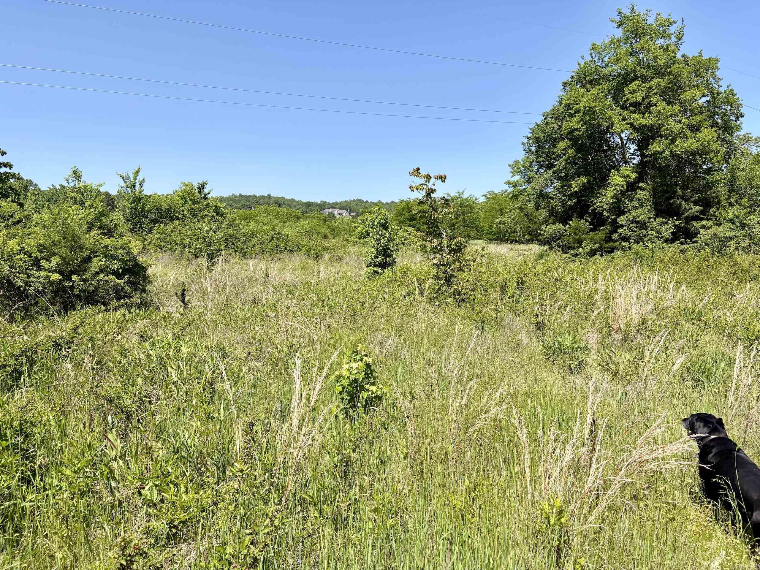 000 Burkett Flat Road Property Photo 28