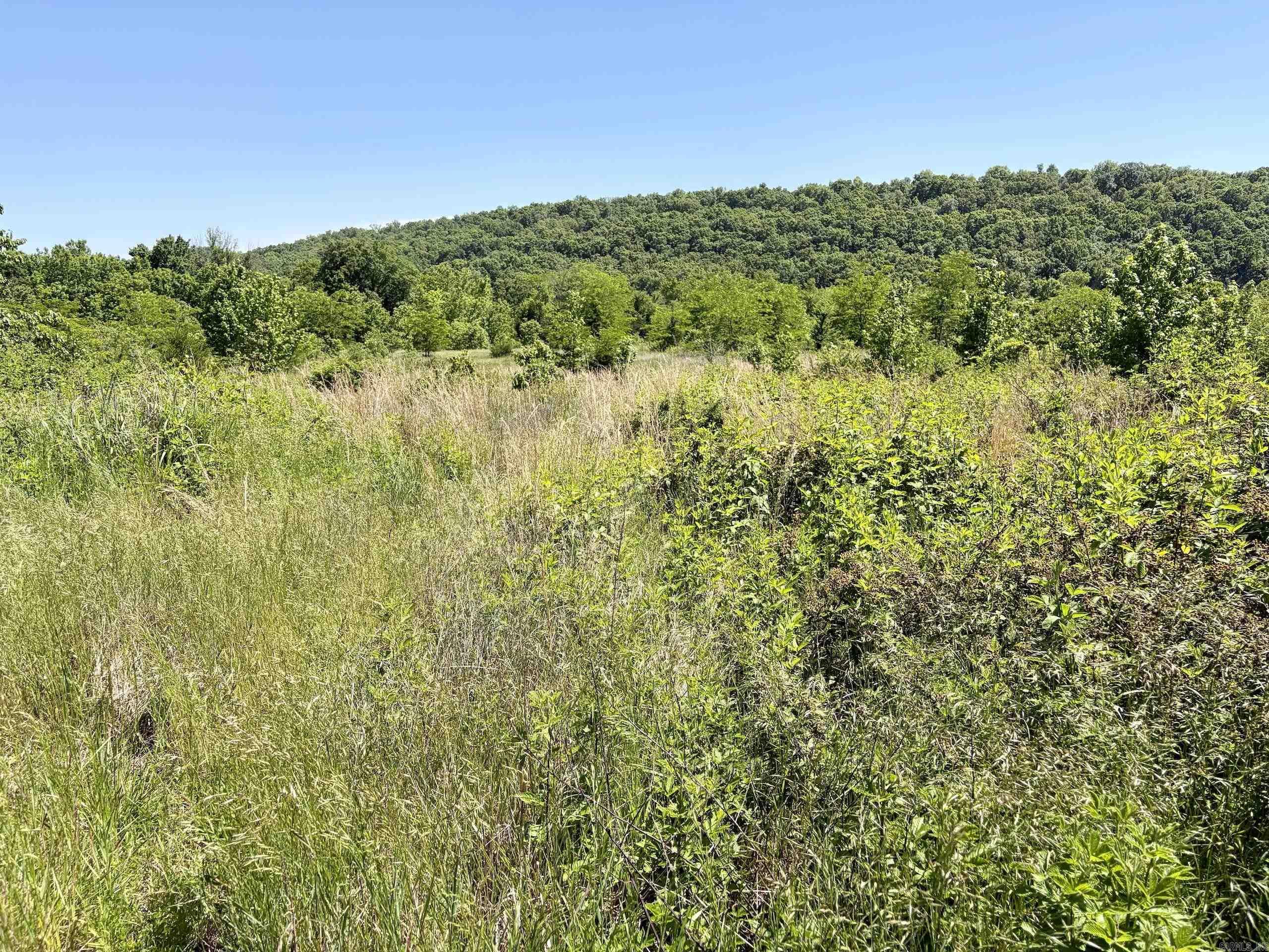 000 Burkett Flat Road Property Photo 29