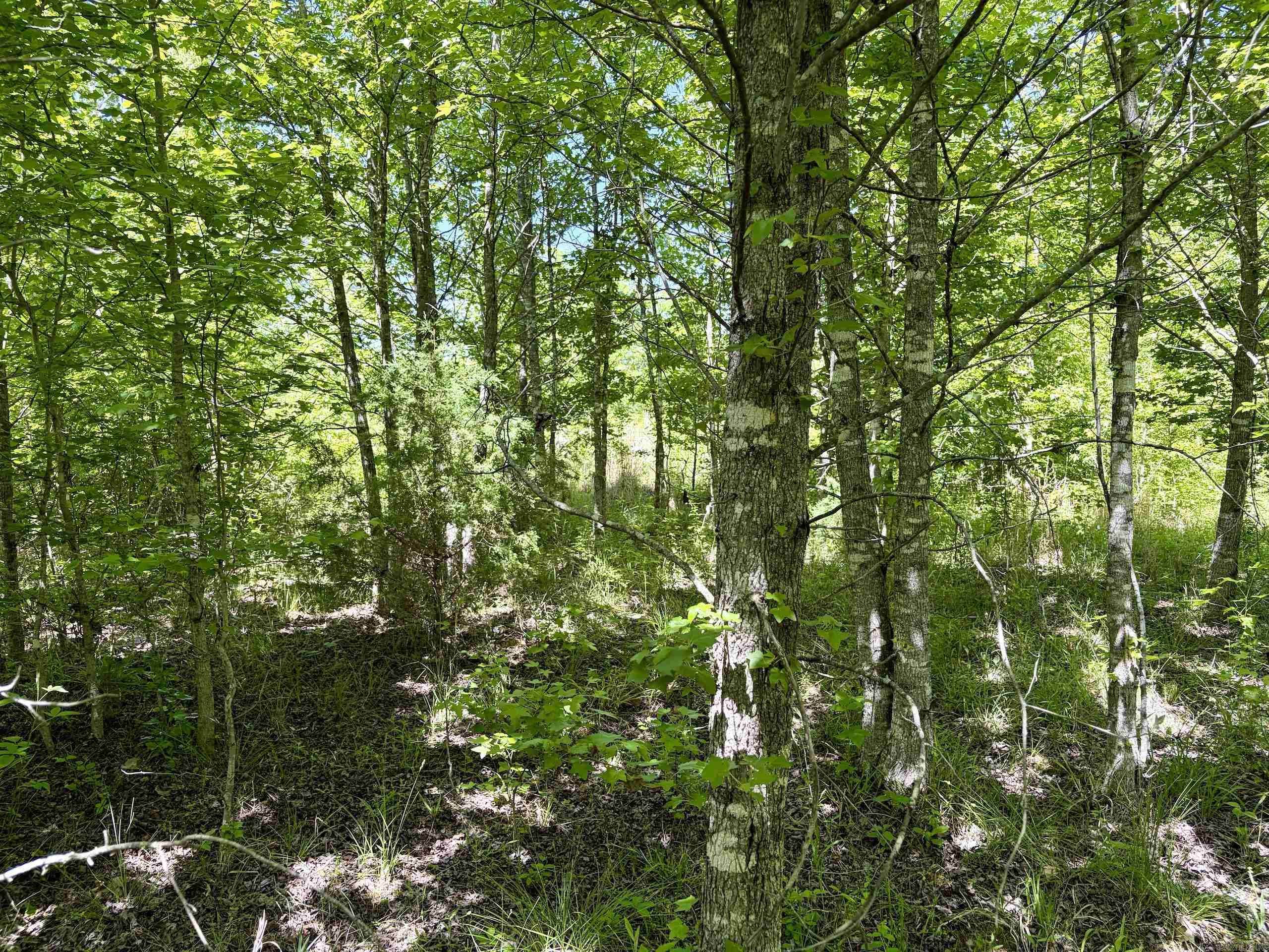 000 Burkett Flat Road Property Photo 31