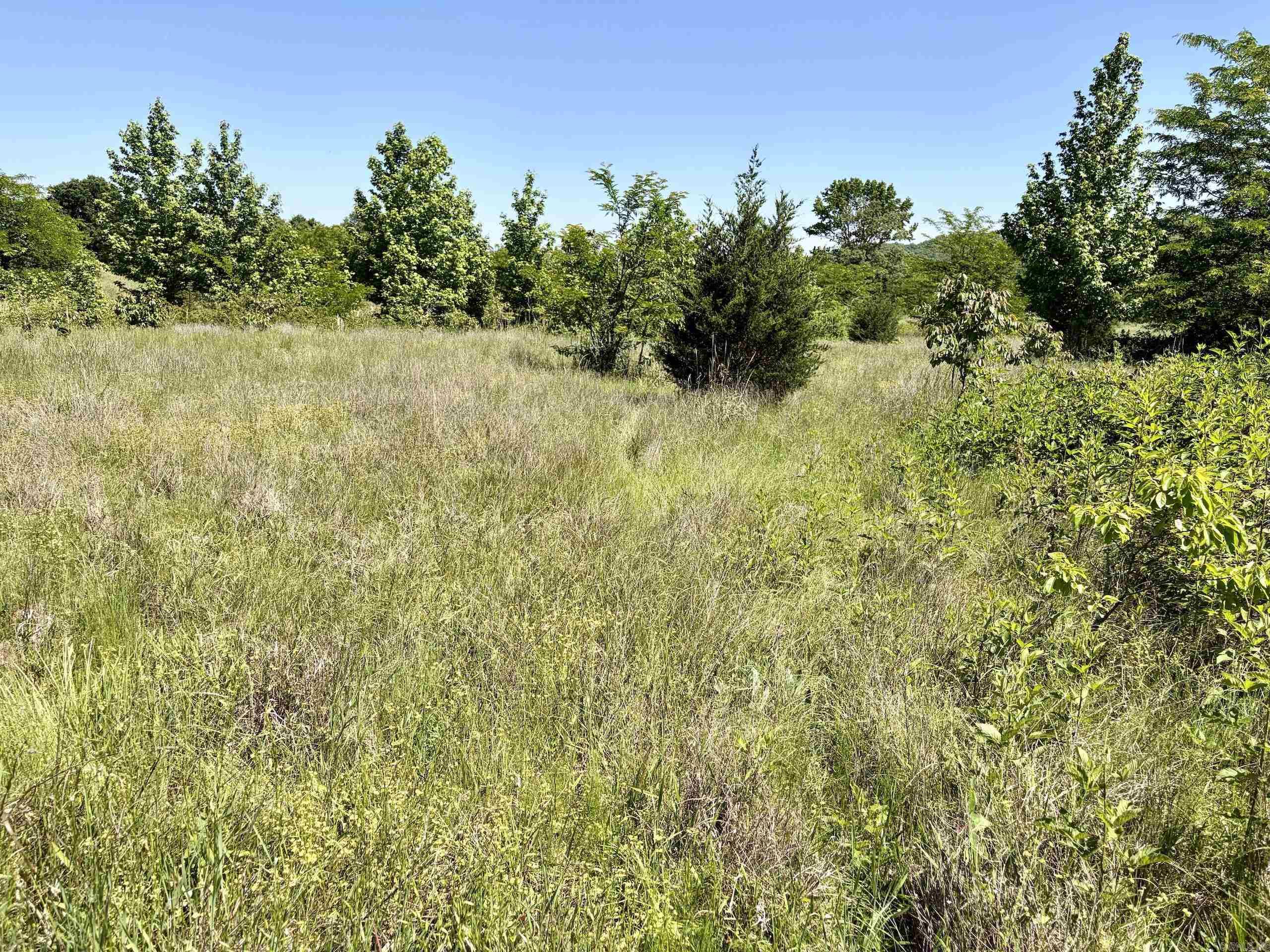 000 Burkett Flat Road Property Photo 37