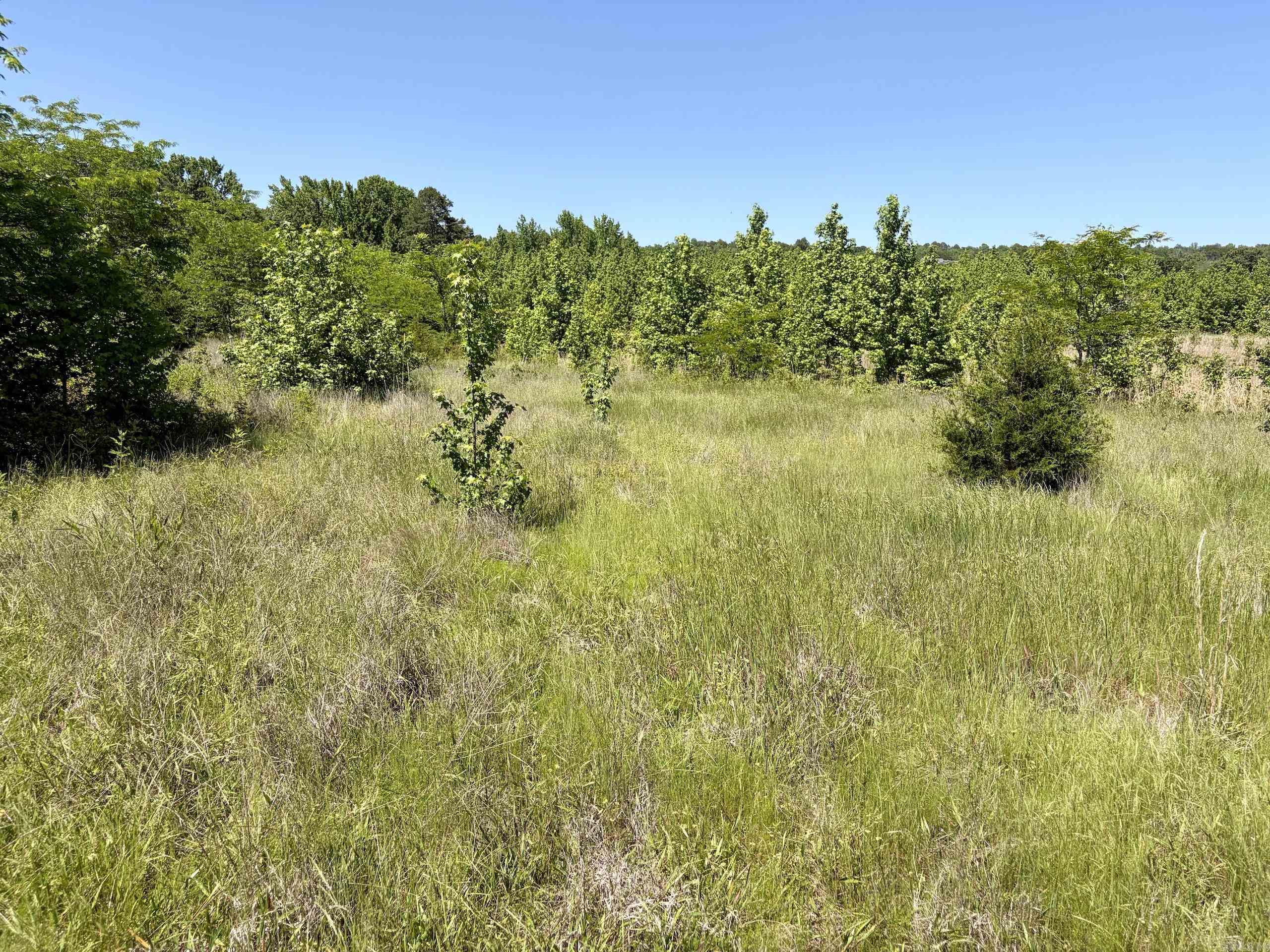 000 Burkett Flat Road Property Photo 38