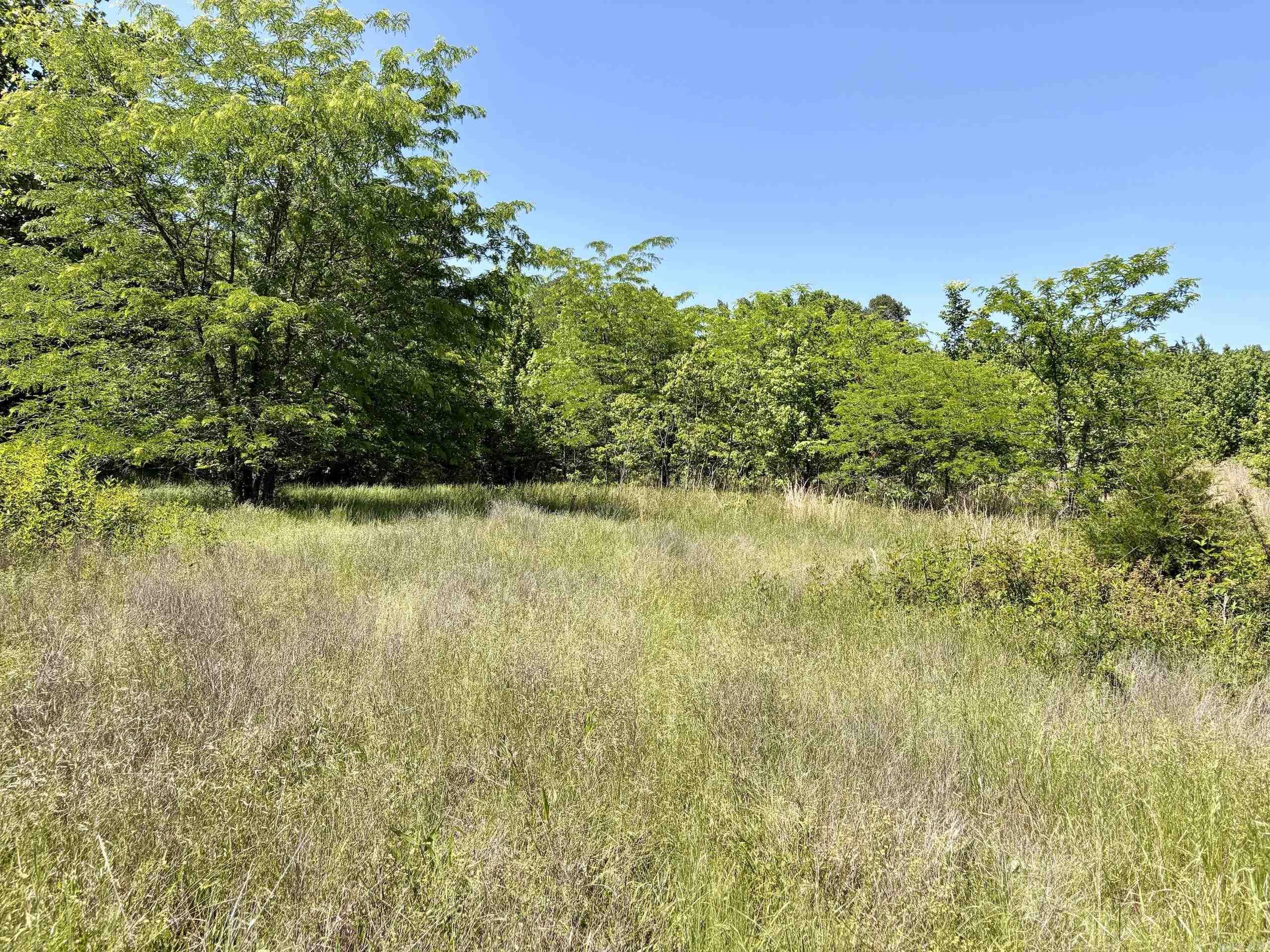 000 Burkett Flat Road Property Photo 39