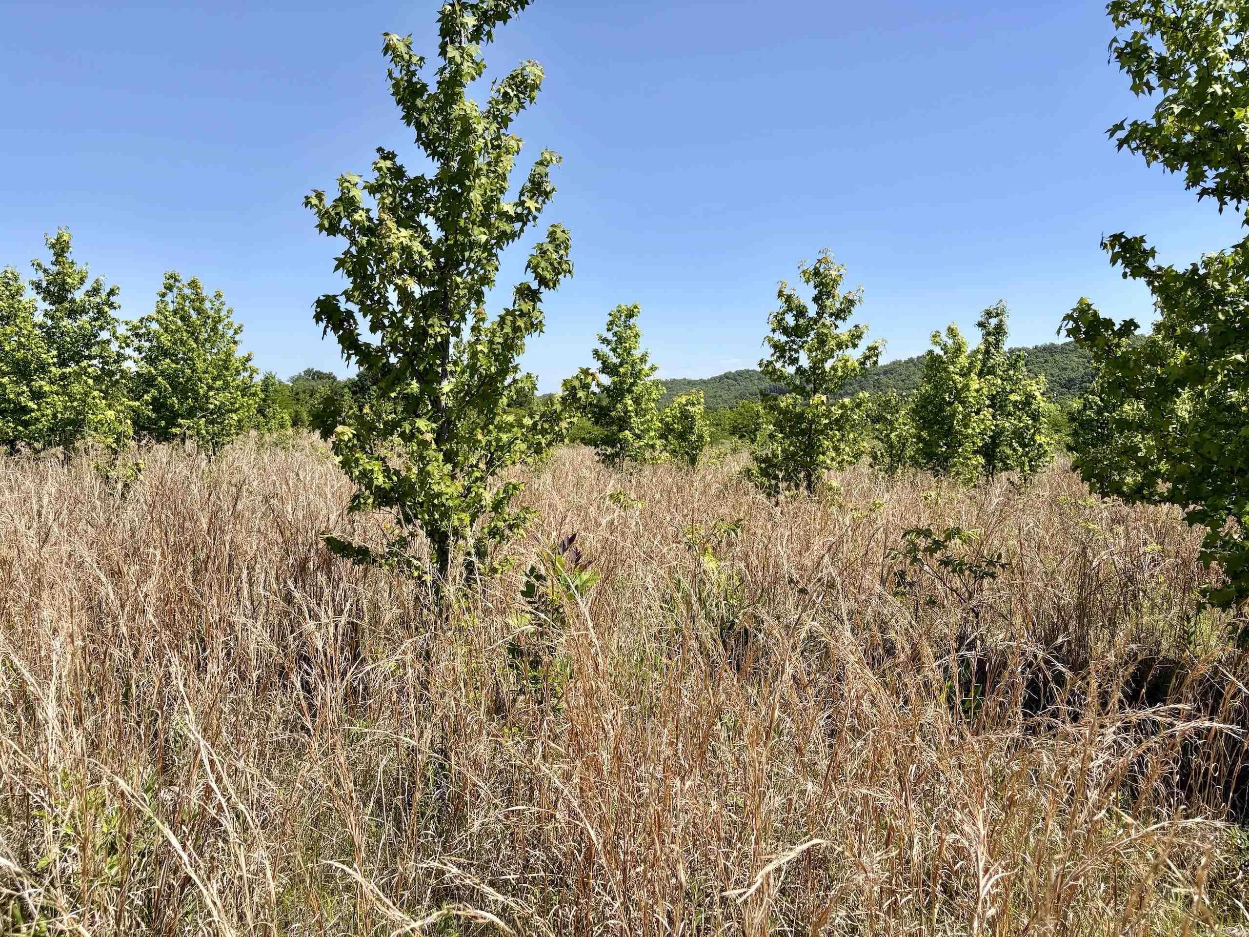 000 Burkett Flat Road Property Photo 41