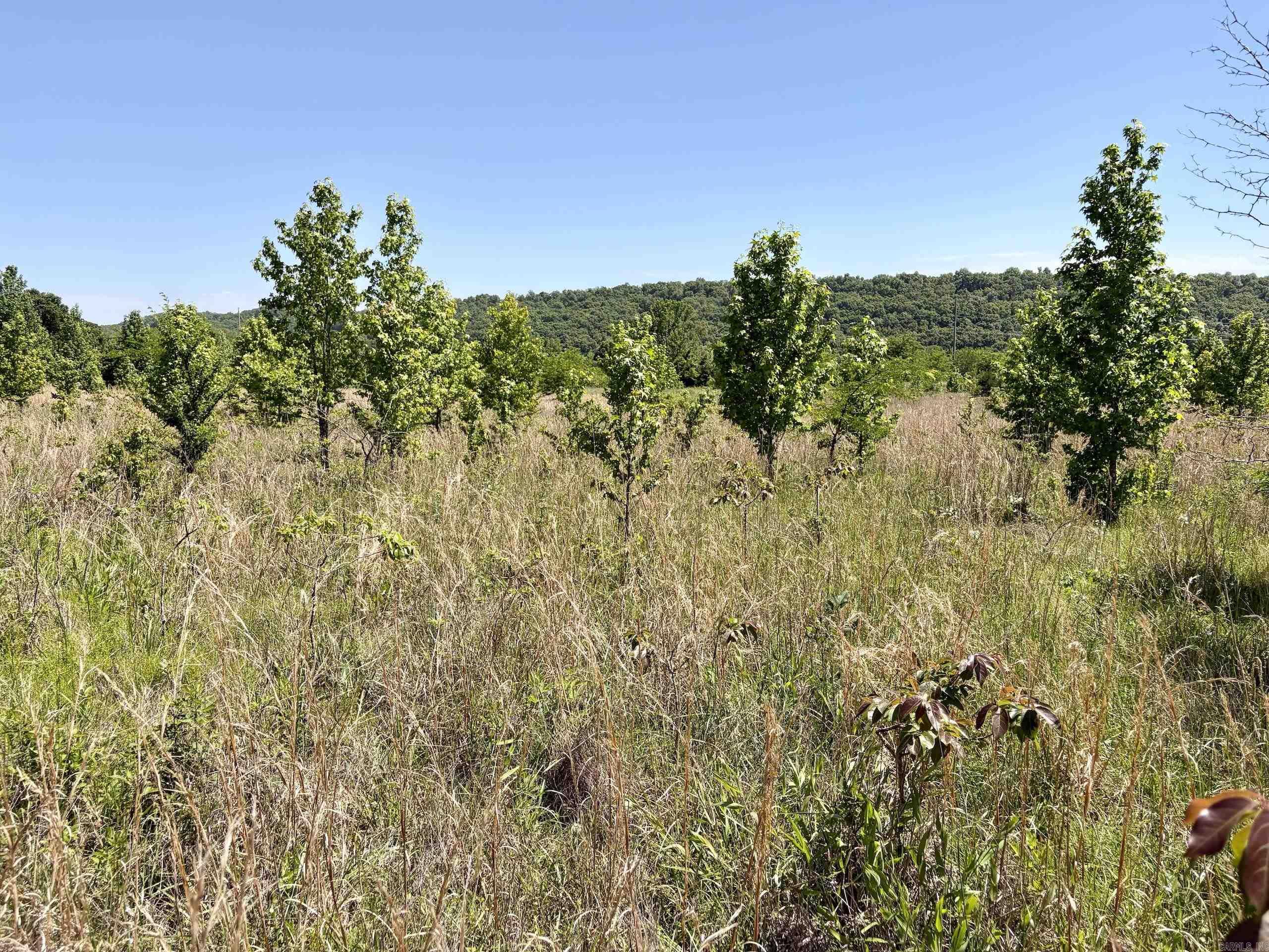 000 Burkett Flat Road Property Photo 42