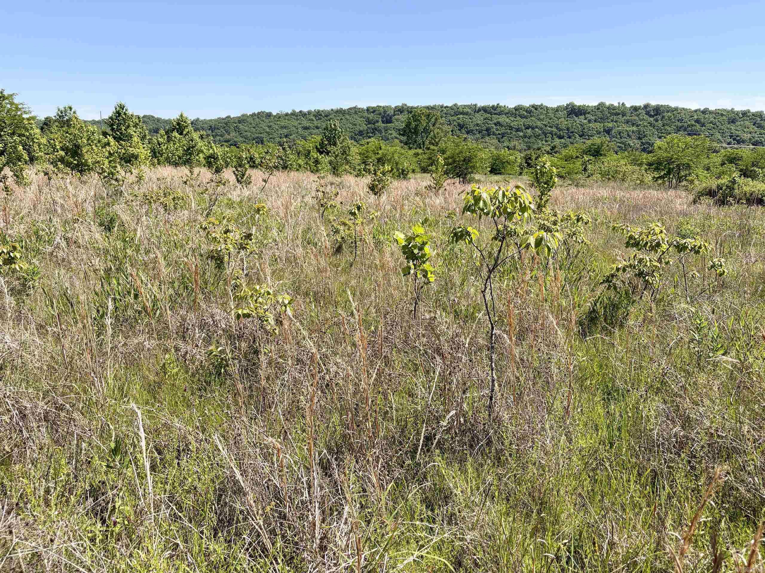 000 Burkett Flat Road Property Photo 43