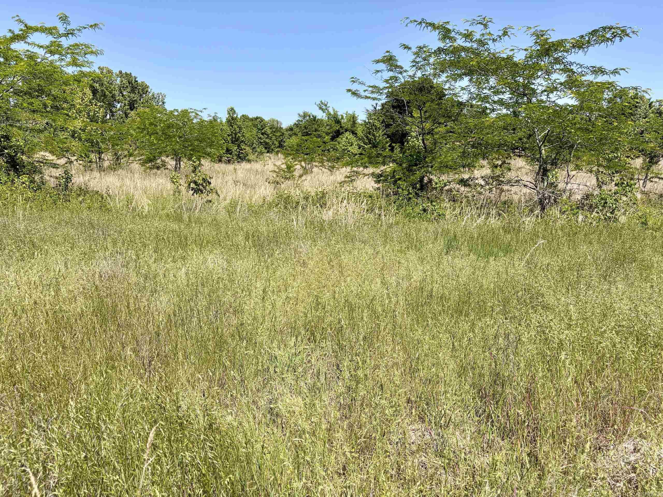 000 Burkett Flat Road Property Photo 44
