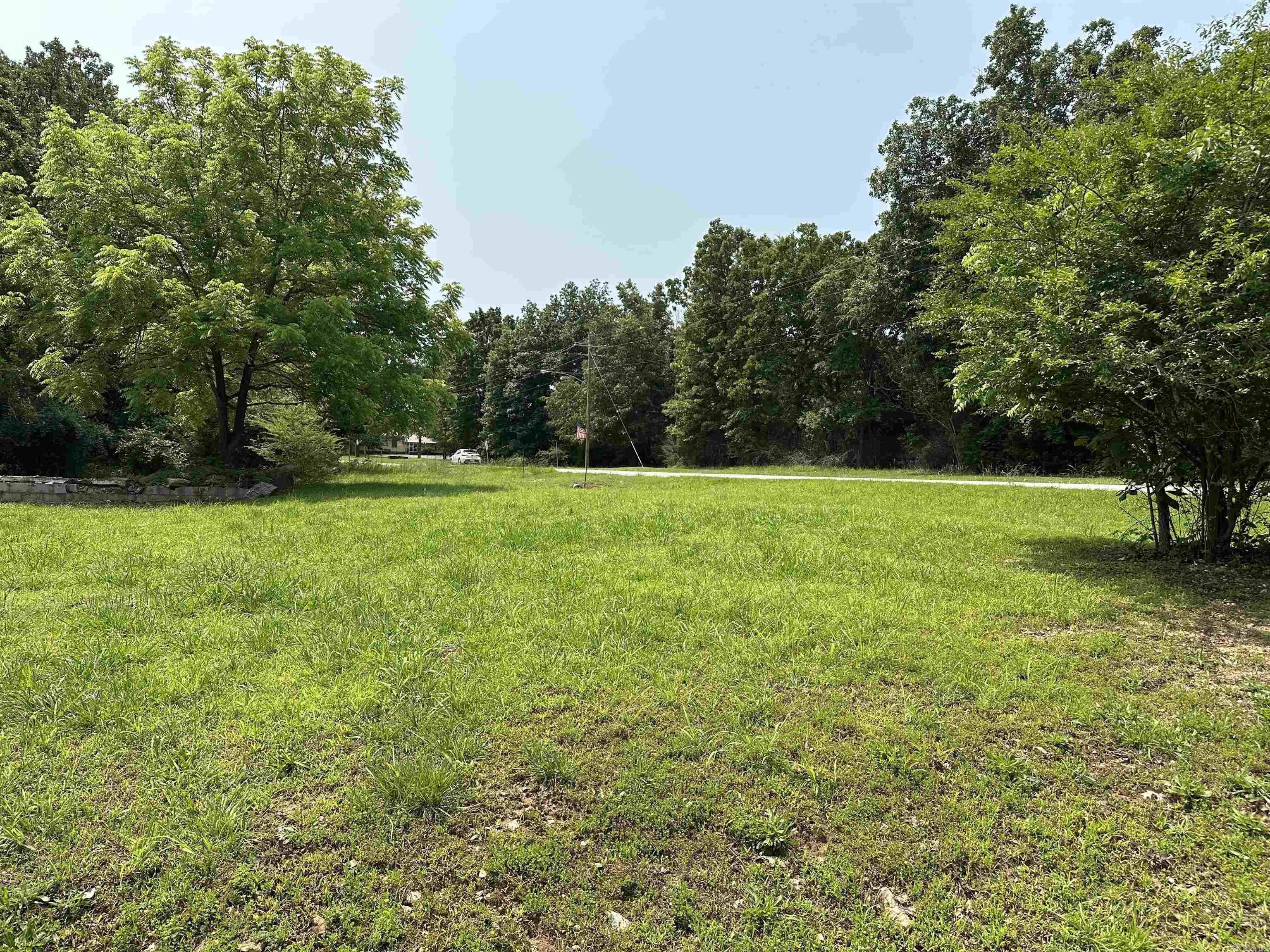 320 Hazelwood Drive Property Photo 3