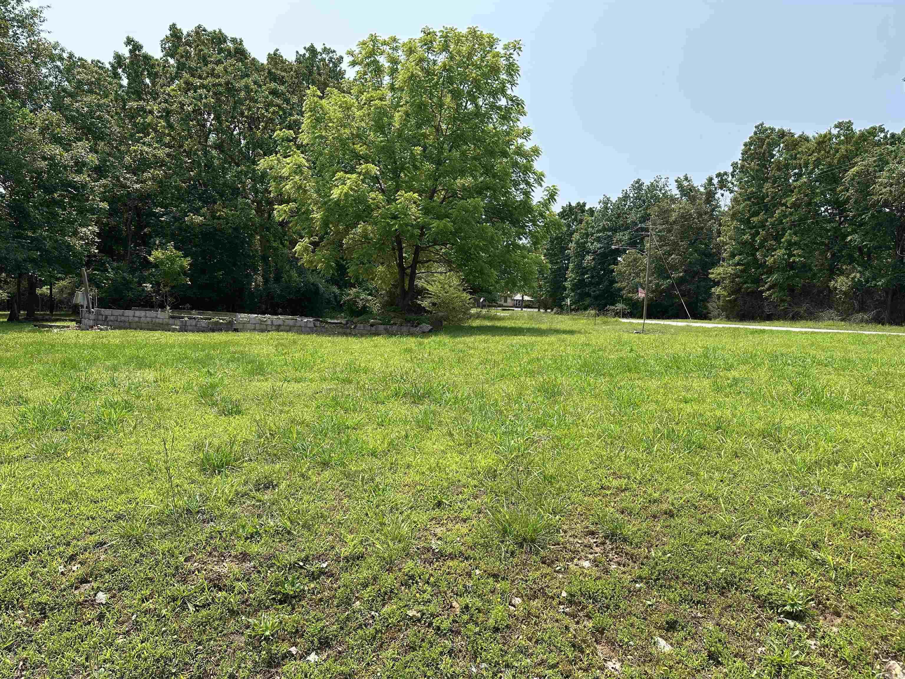320 Hazelwood Drive Property Photo 4