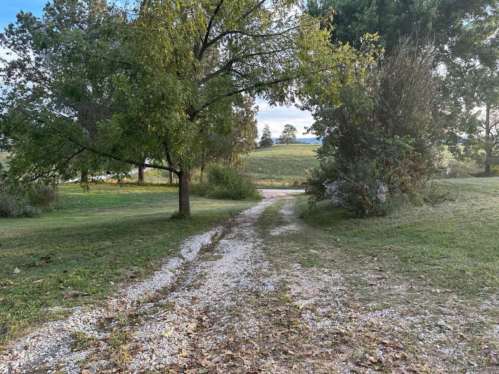 7429 Watts Road Property Photo 22