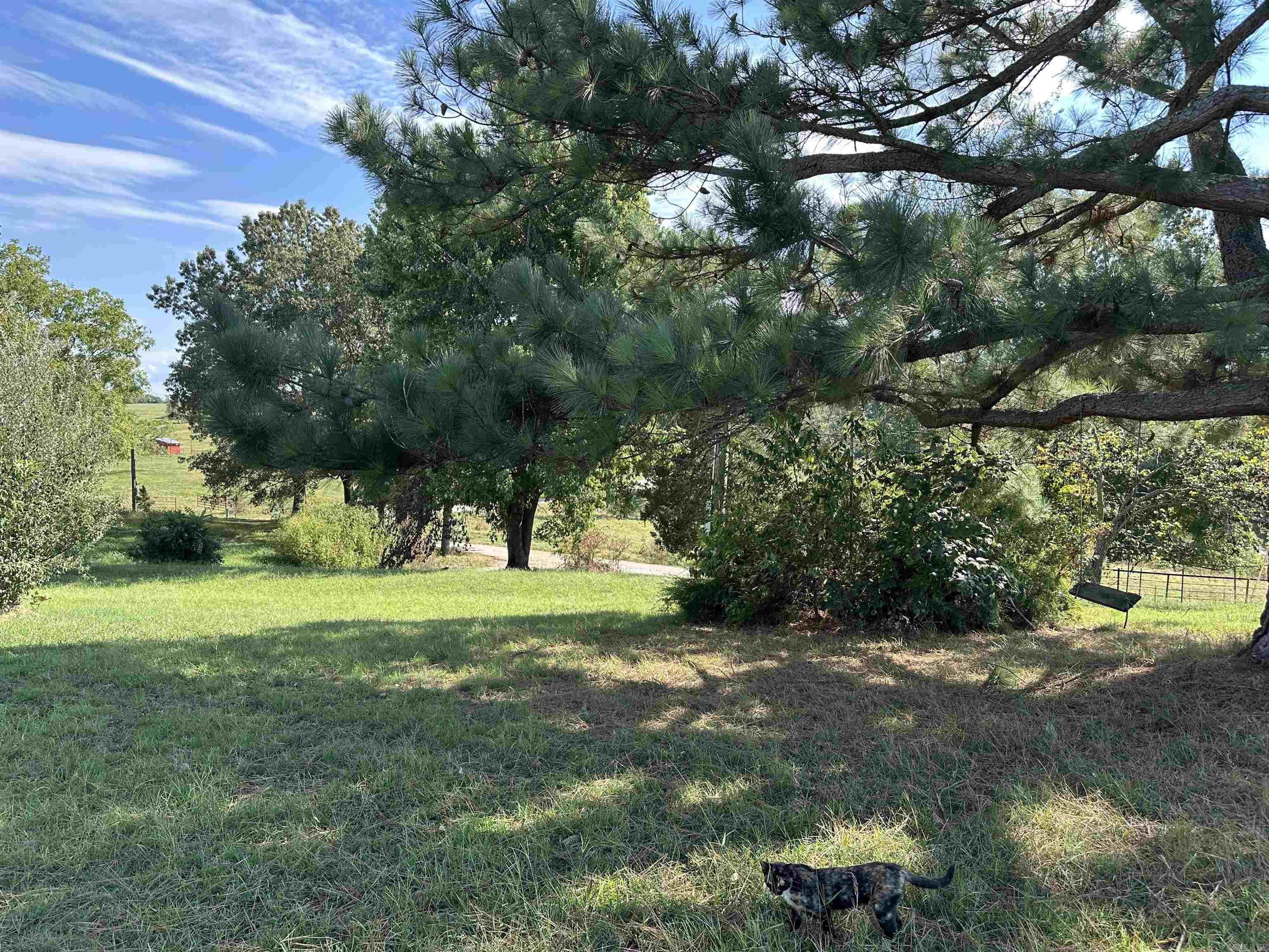 7429 Watts Road Property Photo 30