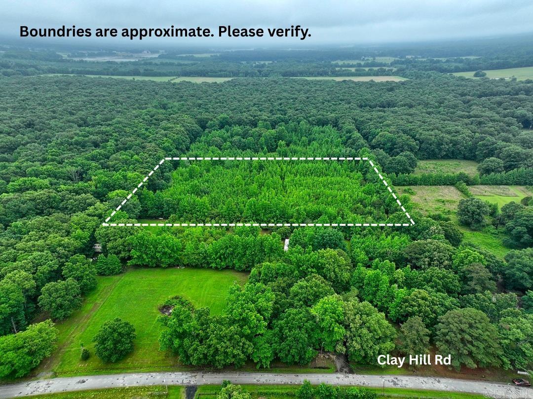 0000 Clay Hill Tract 2 Road Property Photo 2