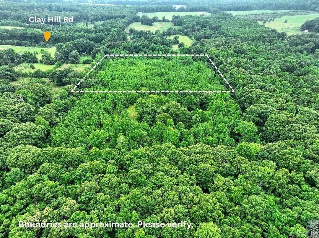 0000 Clay Hill Tract 2 Road Property Photo 3