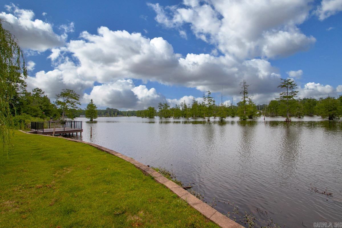 2517 Forrest Lakes Cove Property Photo 41