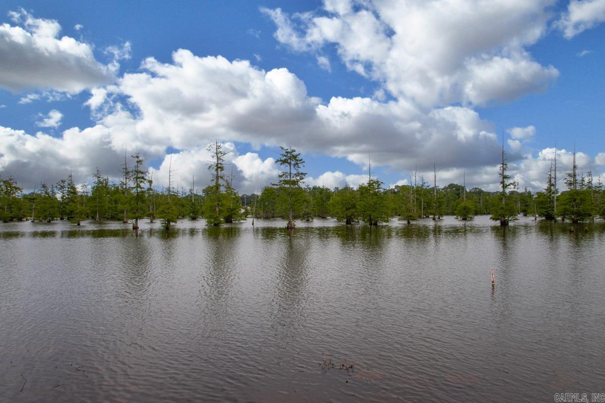 2517 Forrest Lakes Cove Property Photo 44