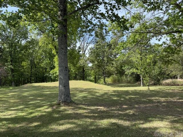 1249 Heber Springs Rd W Property Photo 9