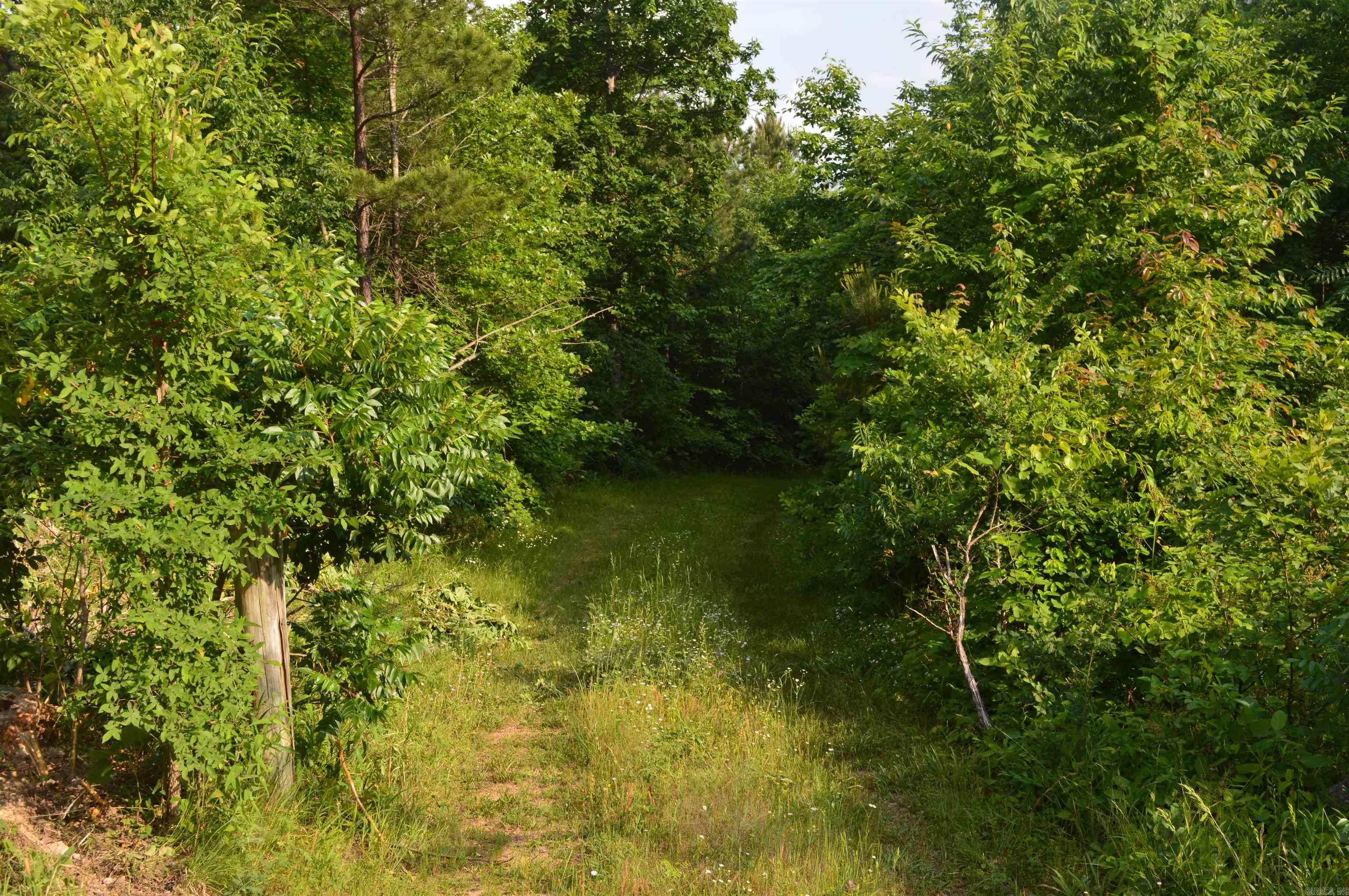 792 Gutter Road Property Photo 5