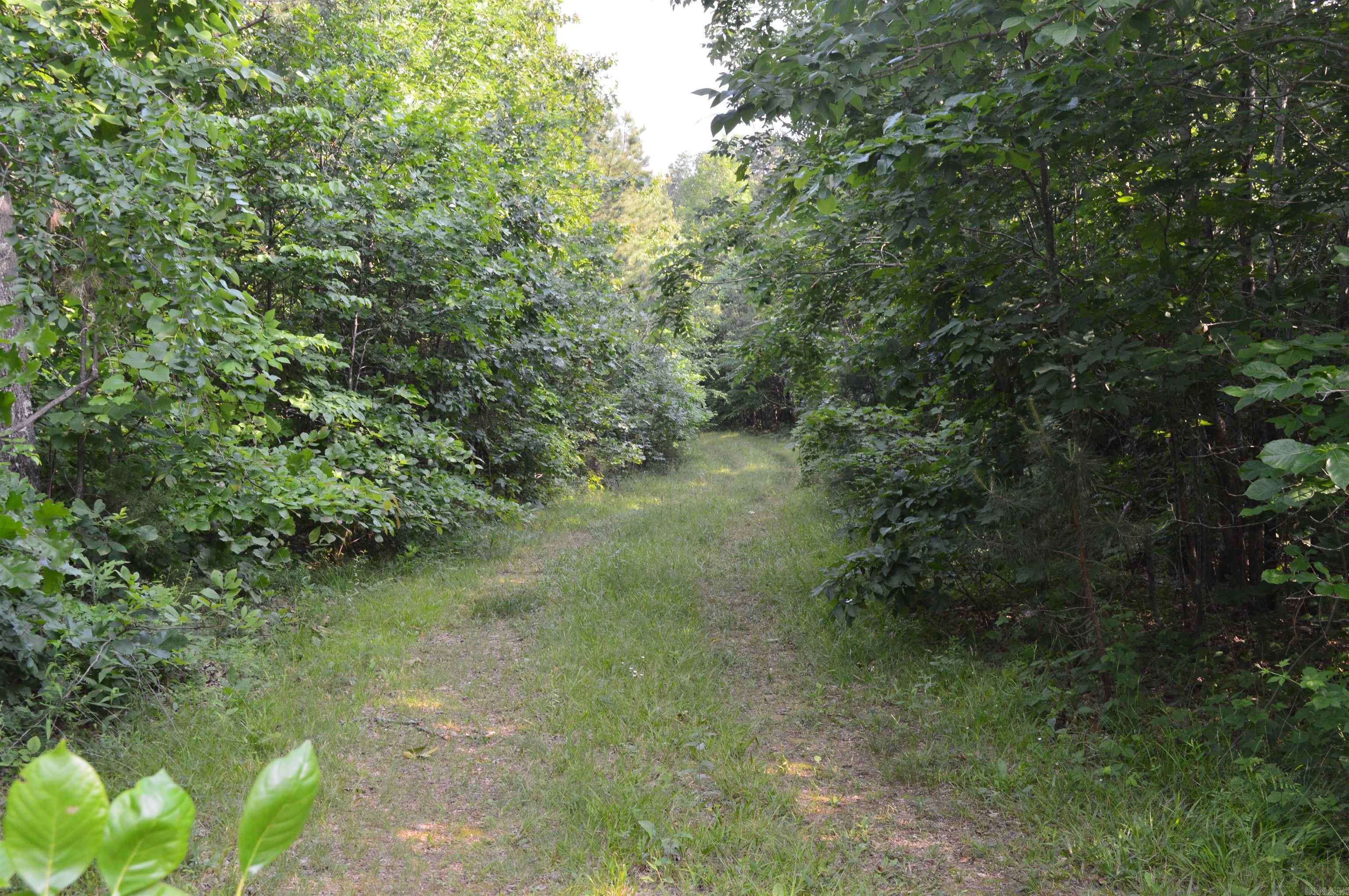 792 Gutter Road Property Photo 6