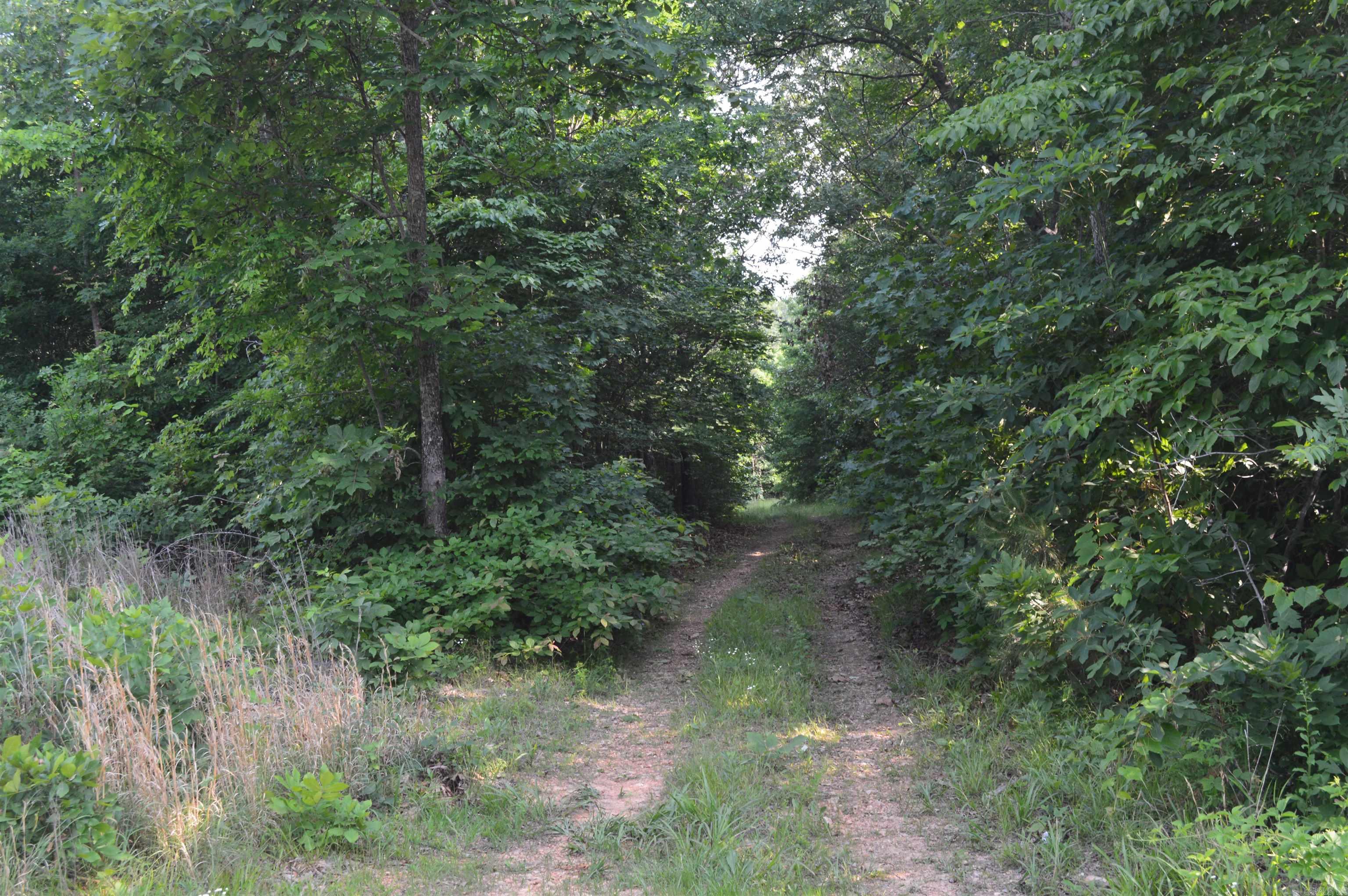 792 Gutter Road Property Photo 9
