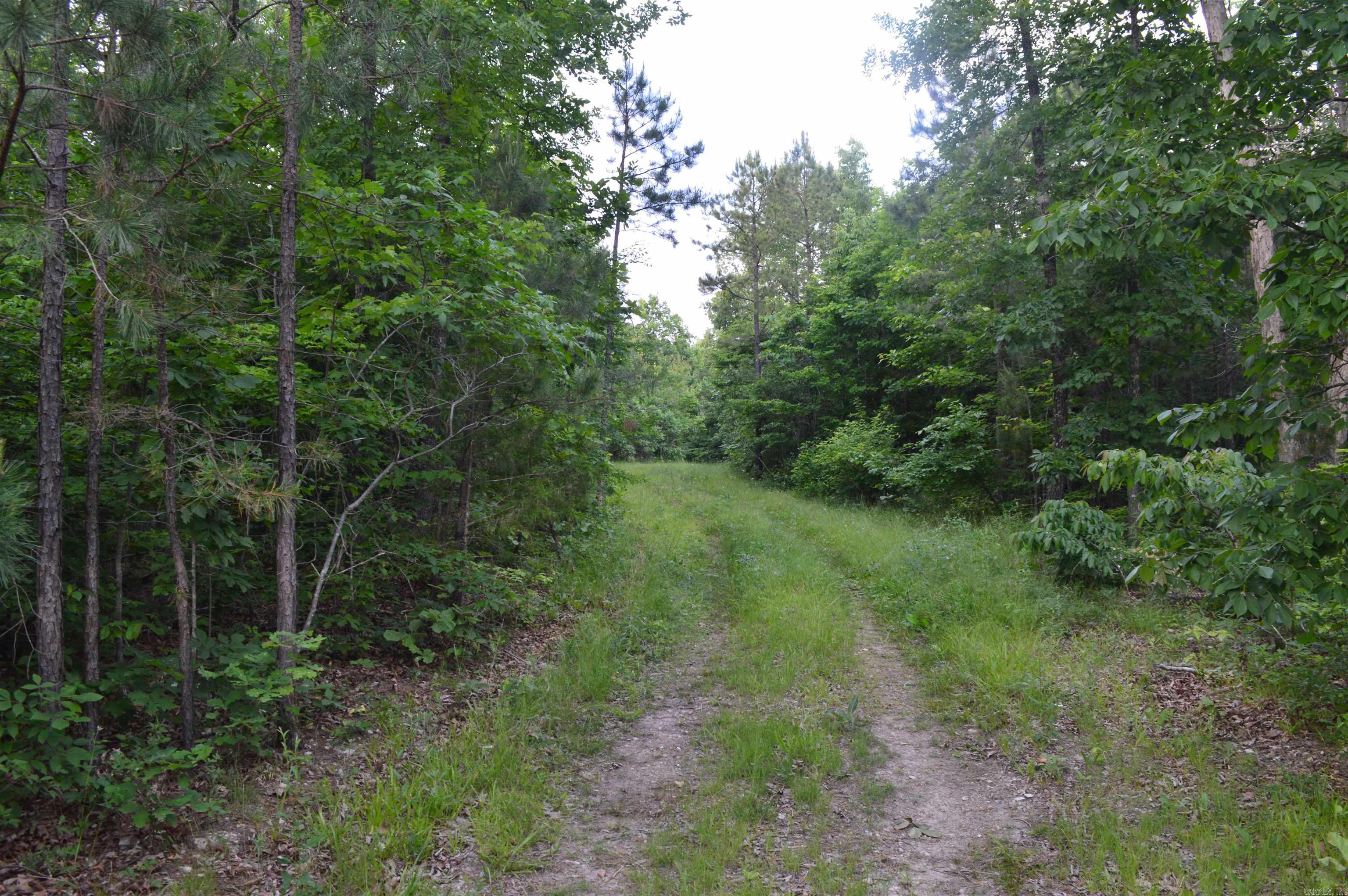 792 Gutter Road Property Photo 10