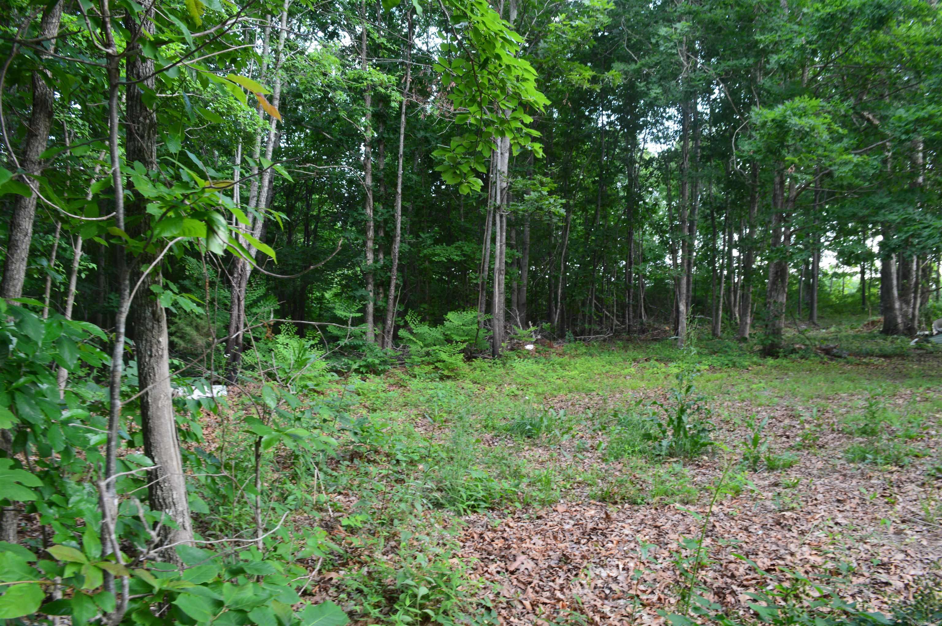 792 Gutter Road Property Photo 14
