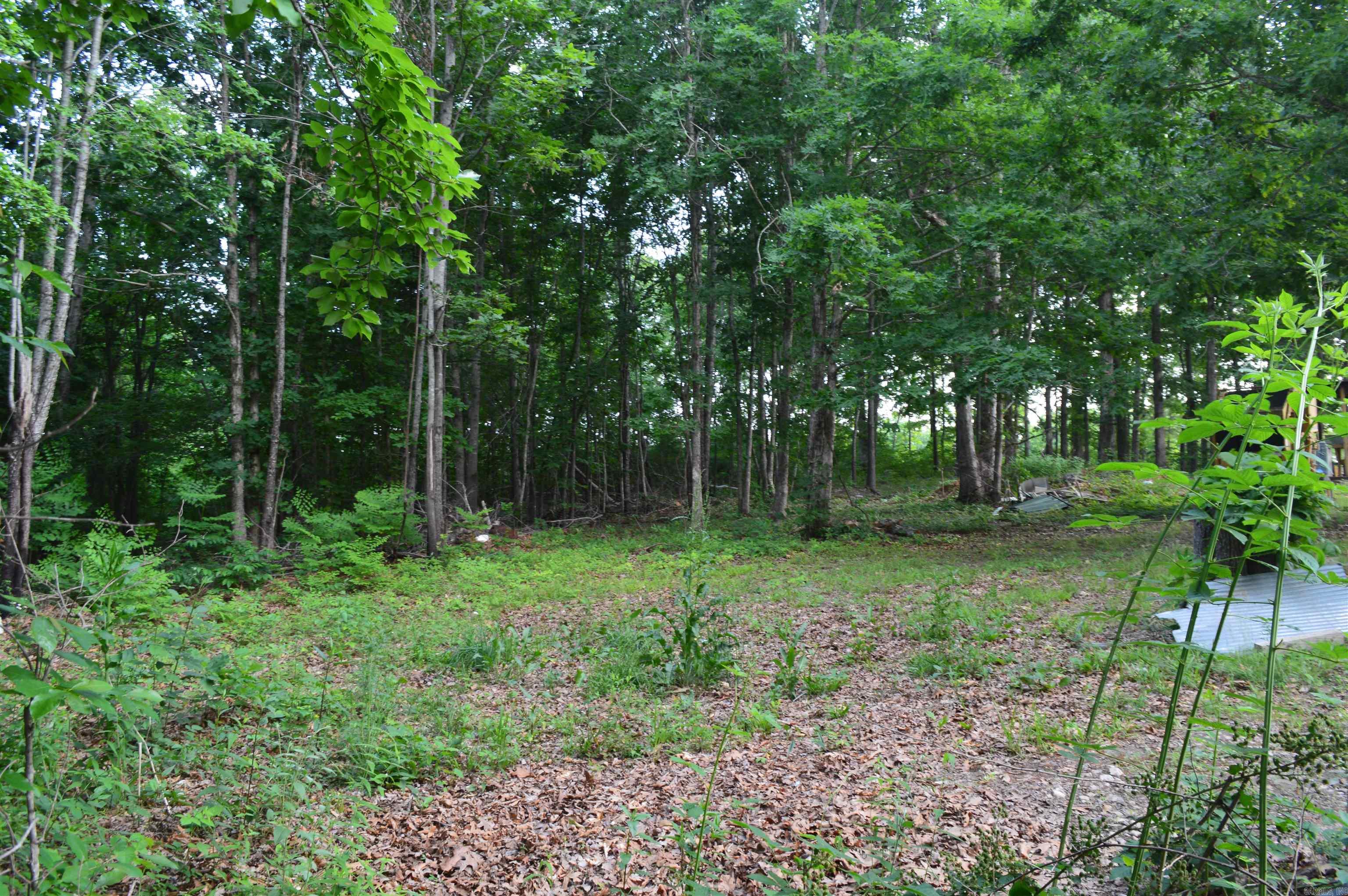 792 Gutter Road Property Photo 15