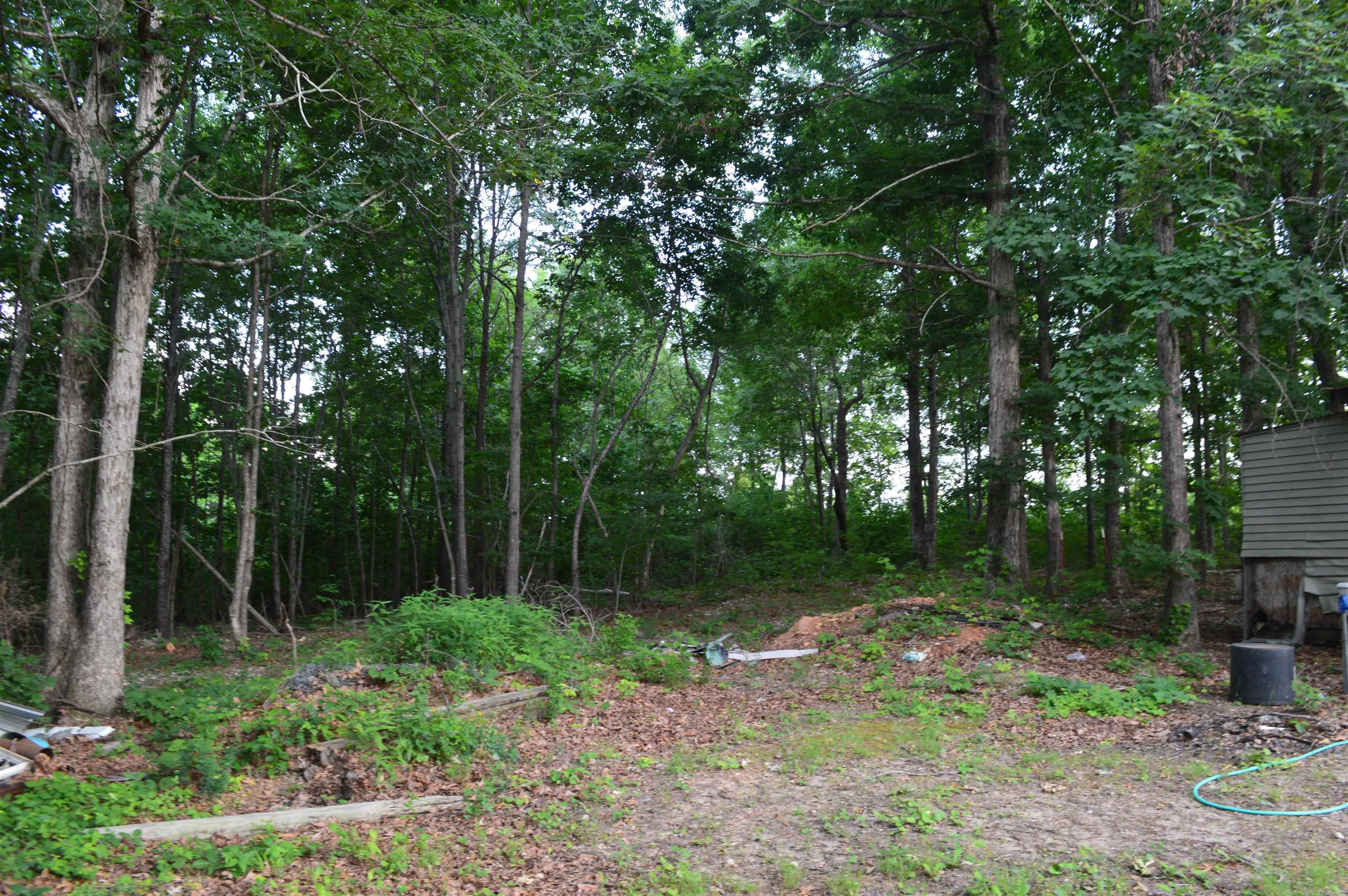 792 Gutter Road Property Photo 17
