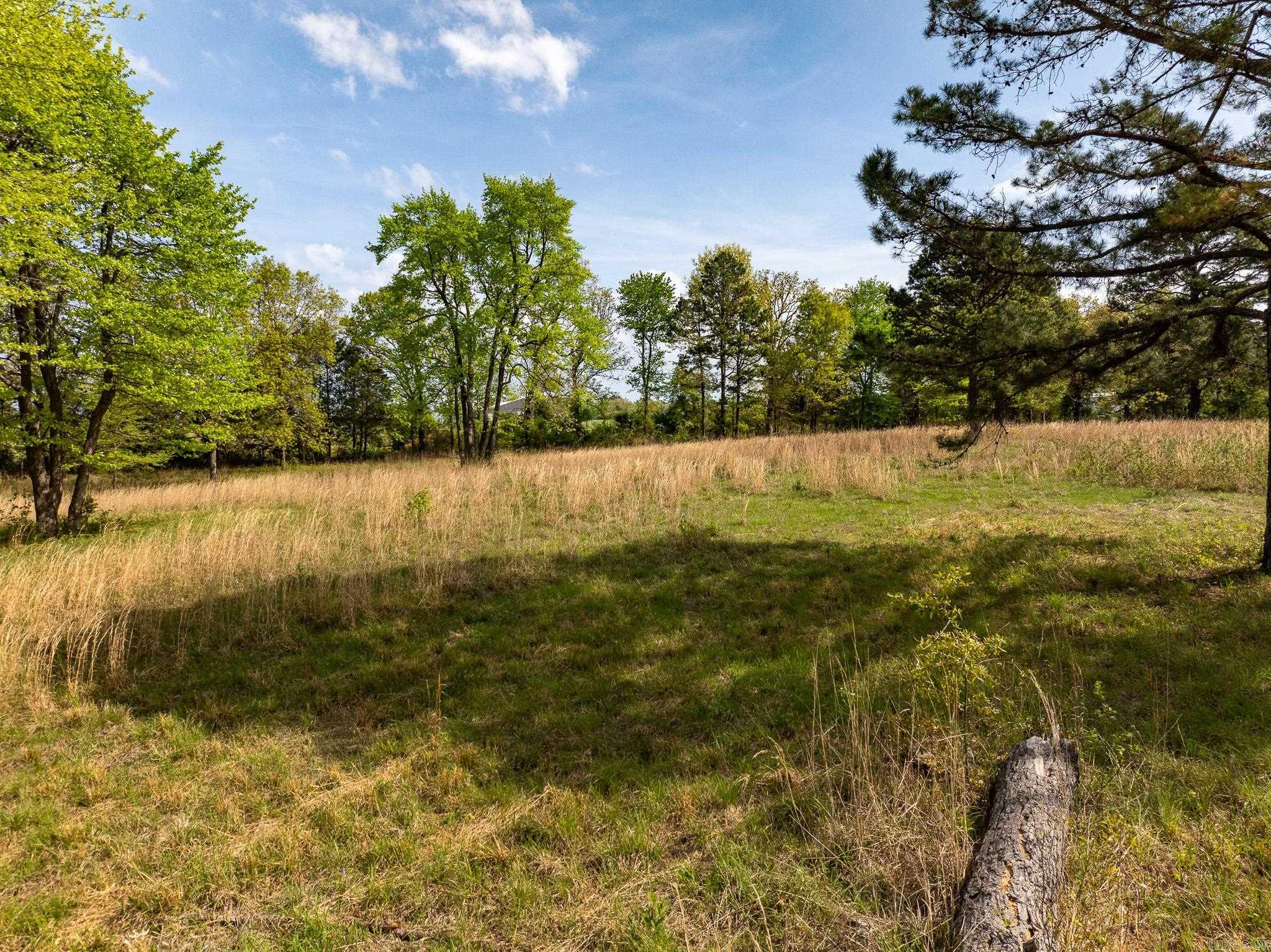 000 Hill Loop Rd. Property Photo 38
