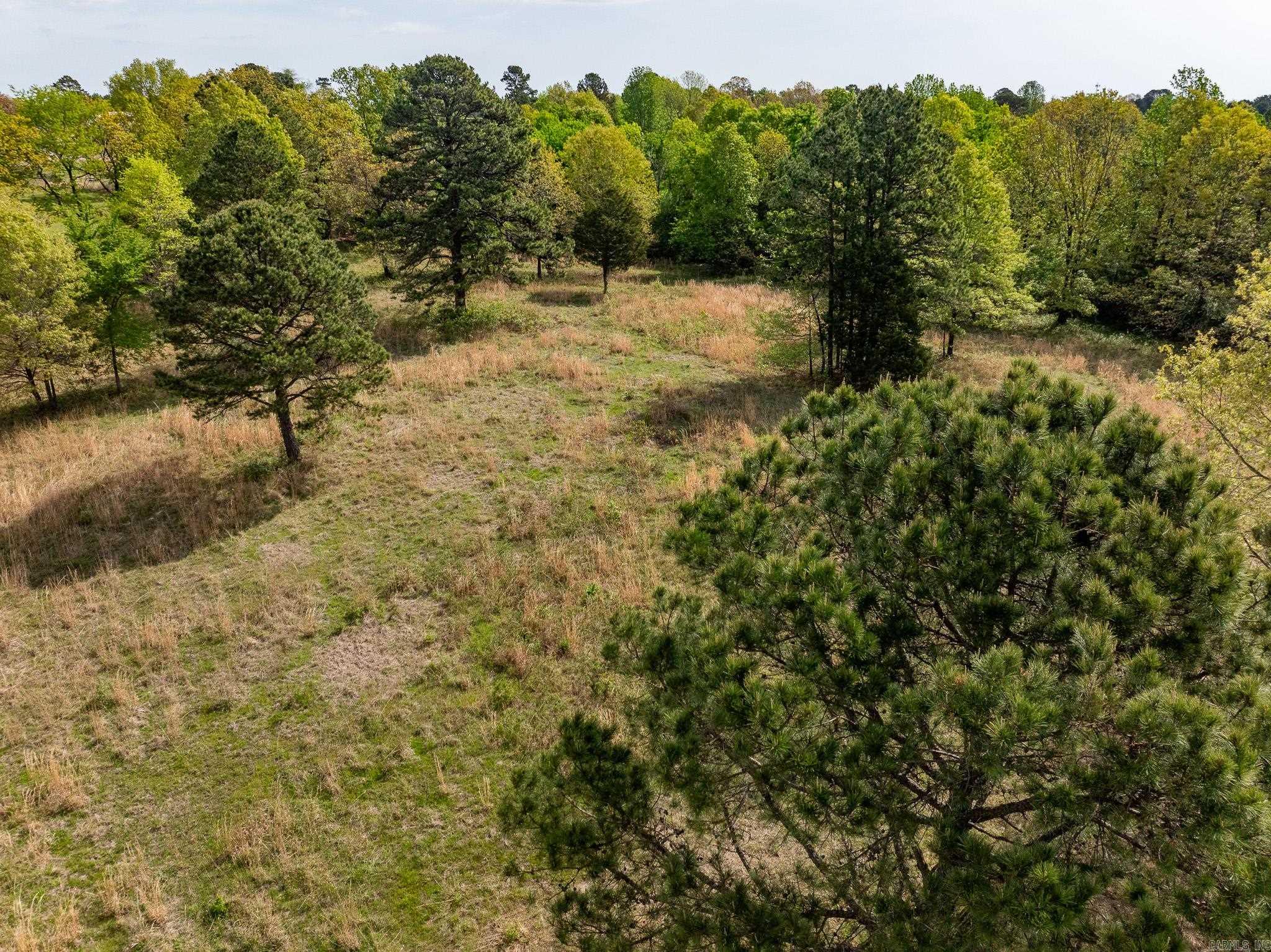 000 Hill Loop Rd. Property Photo 39