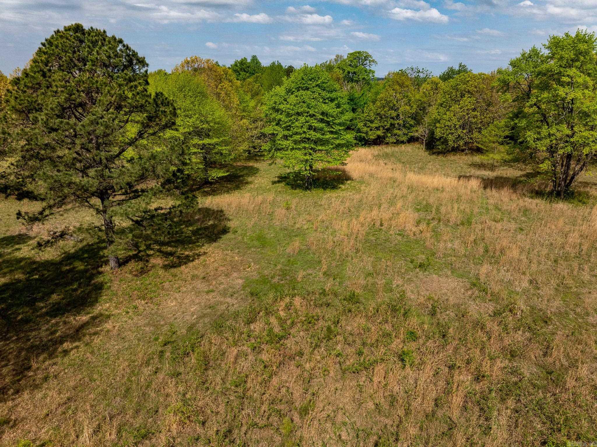 000 Hill Loop Rd. Property Photo 43