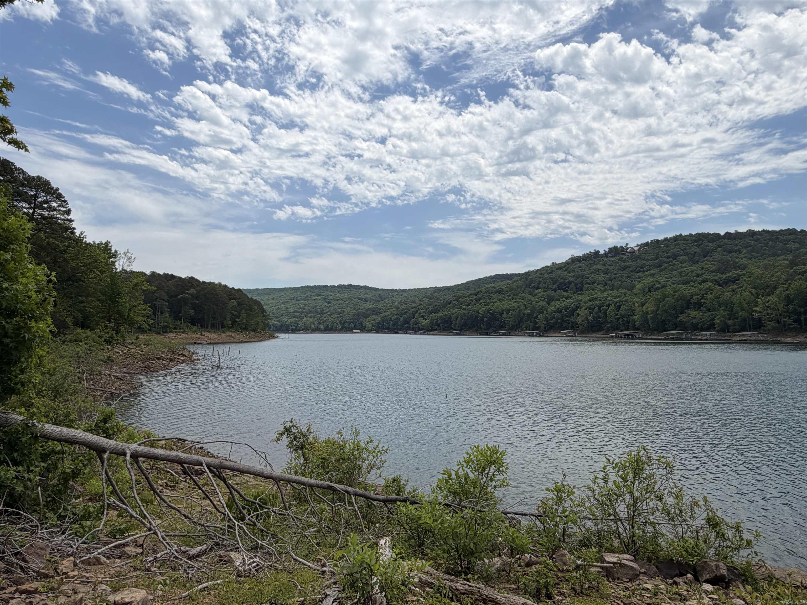1200 Bear Mountain Road Property Photo 2