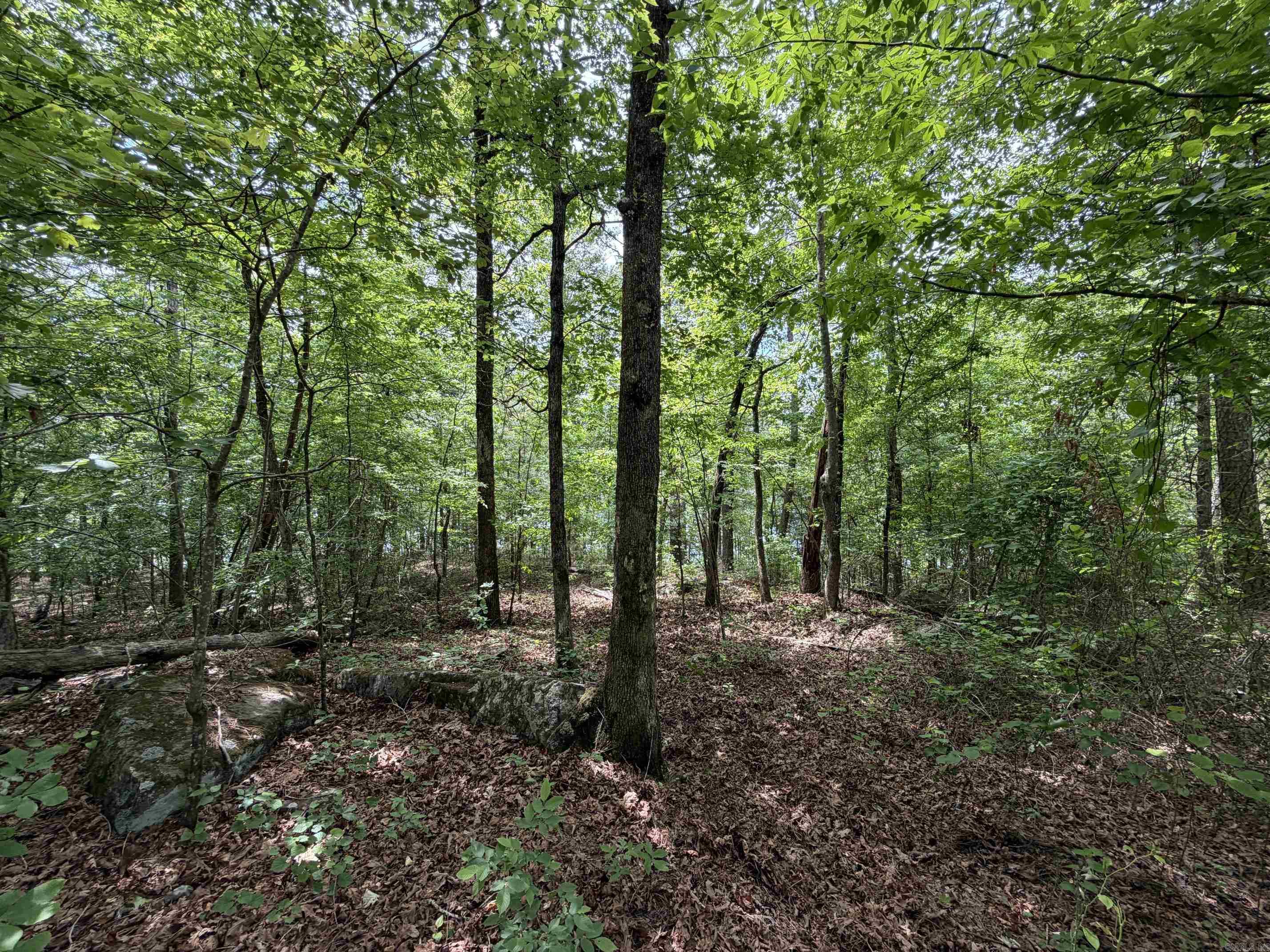 1200 Bear Mountain Road Property Photo 4