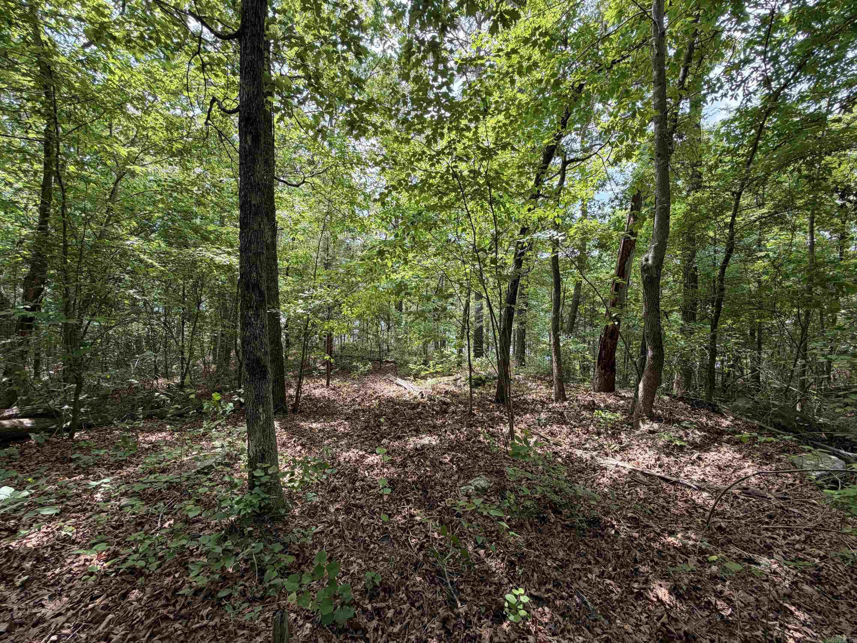 1200 Bear Mountain Road Property Photo 5