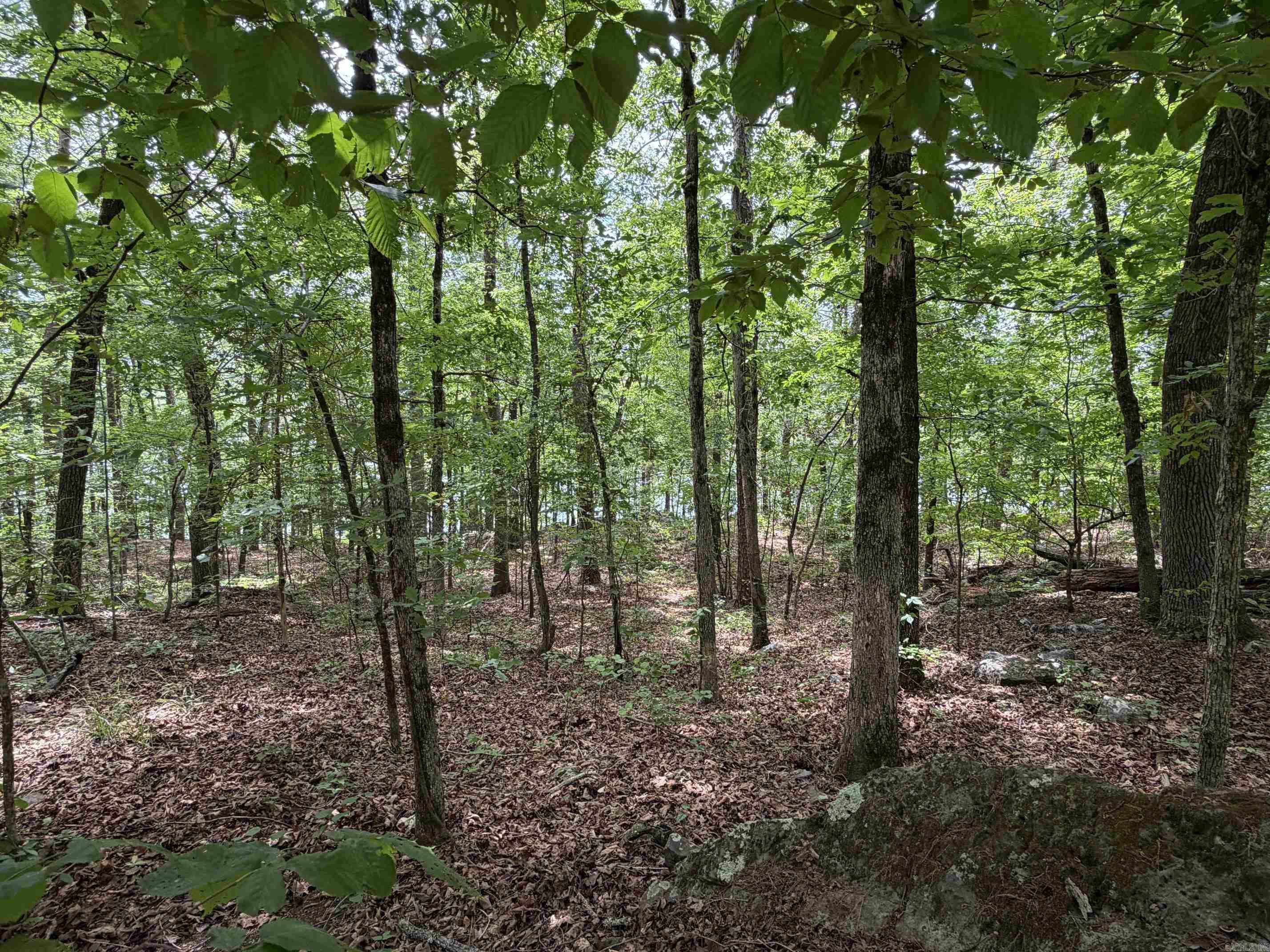1200 Bear Mountain Road Property Photo 6