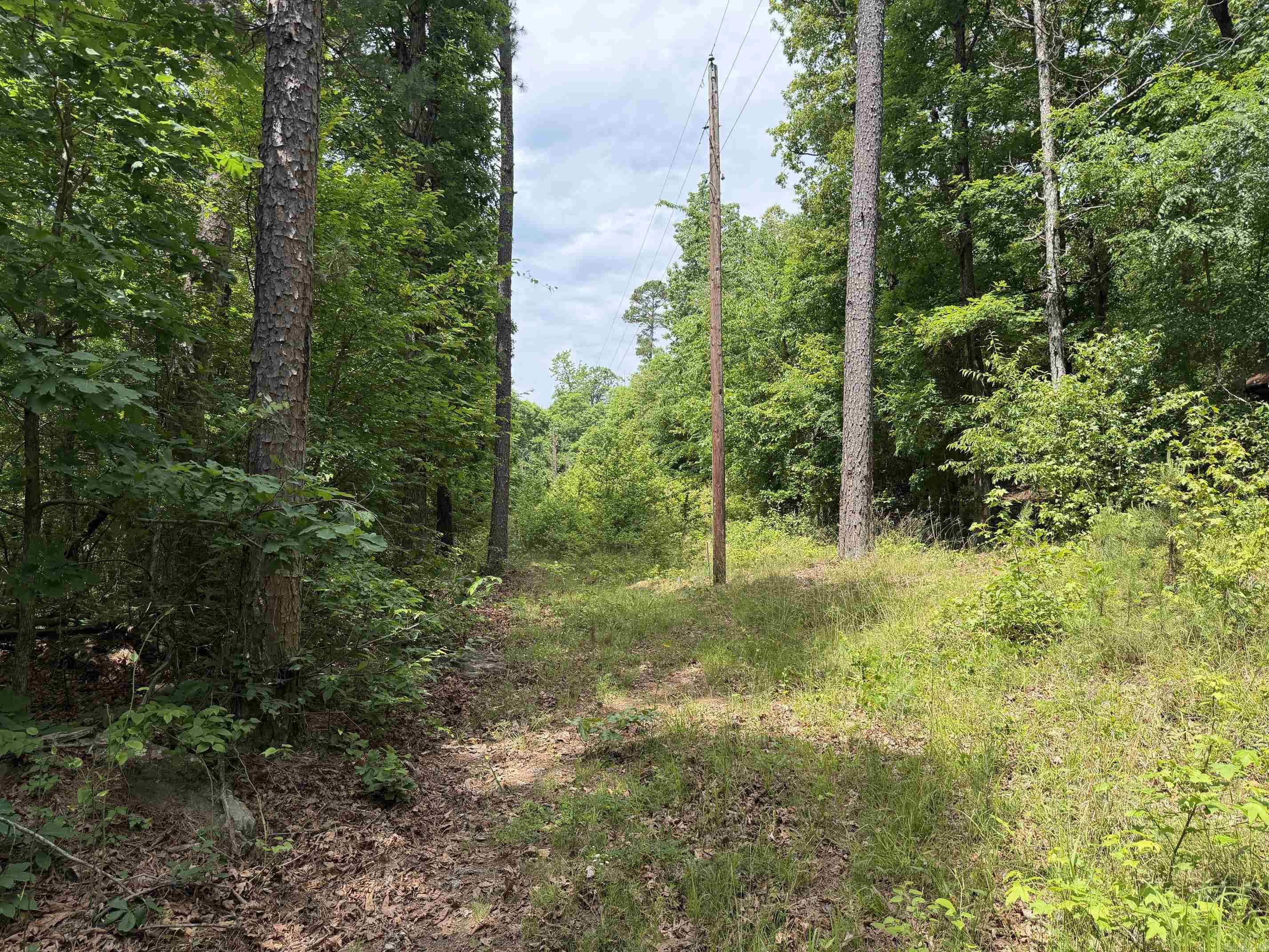 1200 Bear Mountain Road Property Photo 11