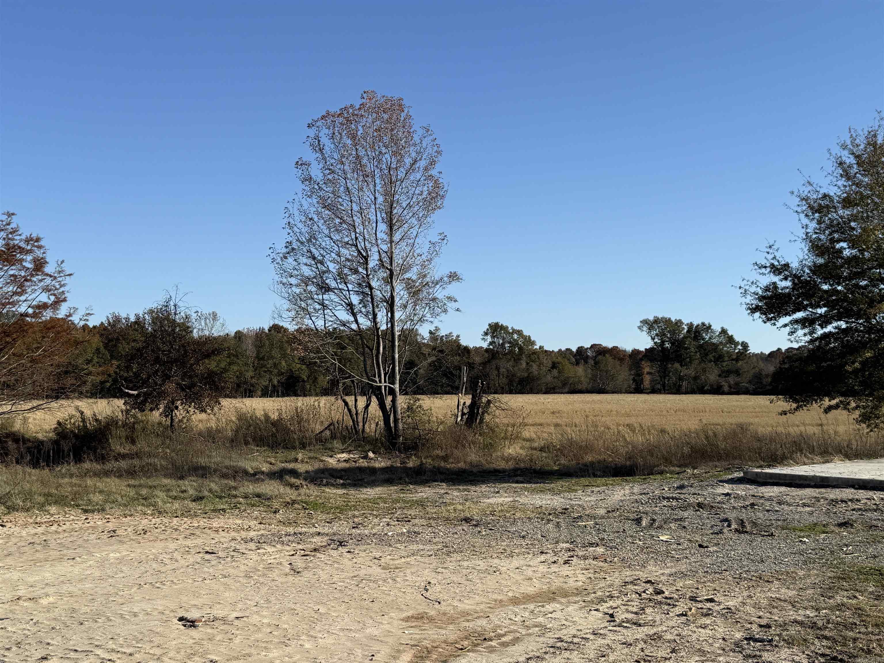 2220 Duck Levee Property Photo 1