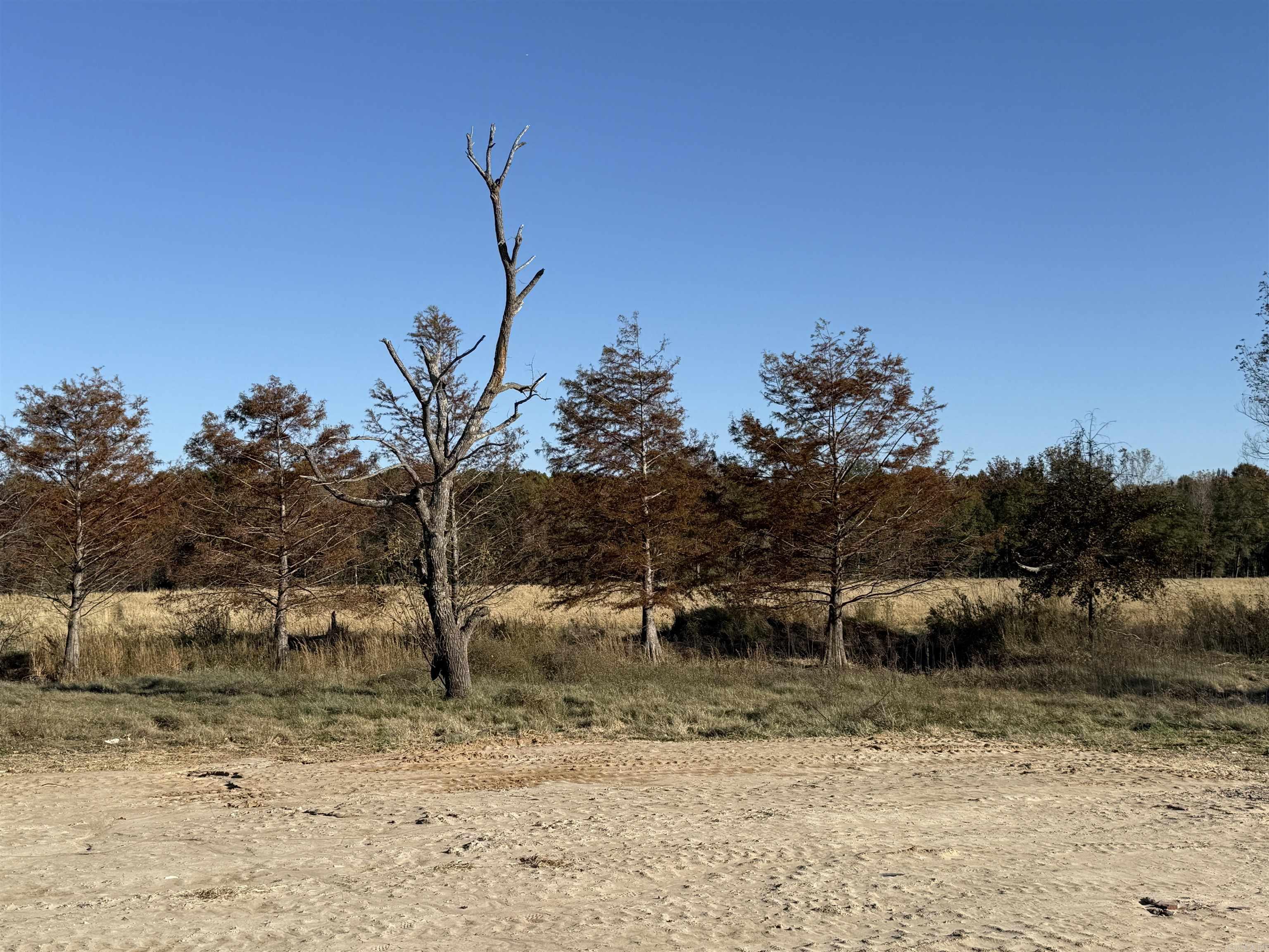 2220 Duck Levee Property Photo 2