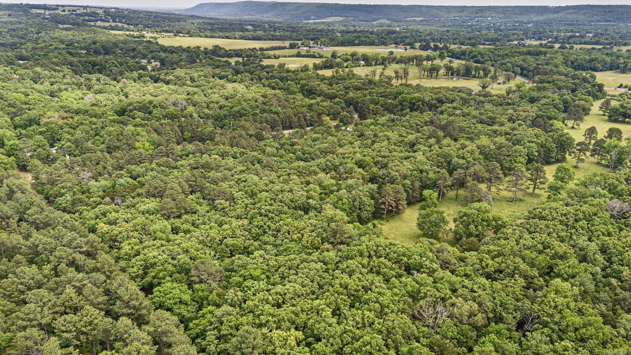 1000 W Gum Log Road Property Photo 3